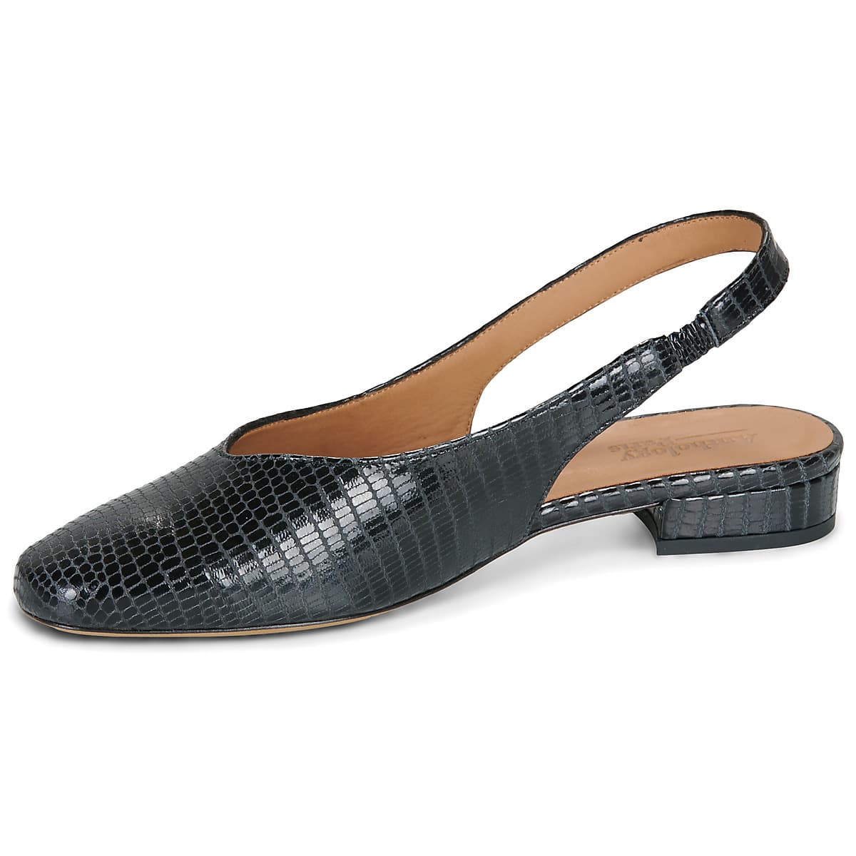 Women's Ballet Flats Anthology Paris Black