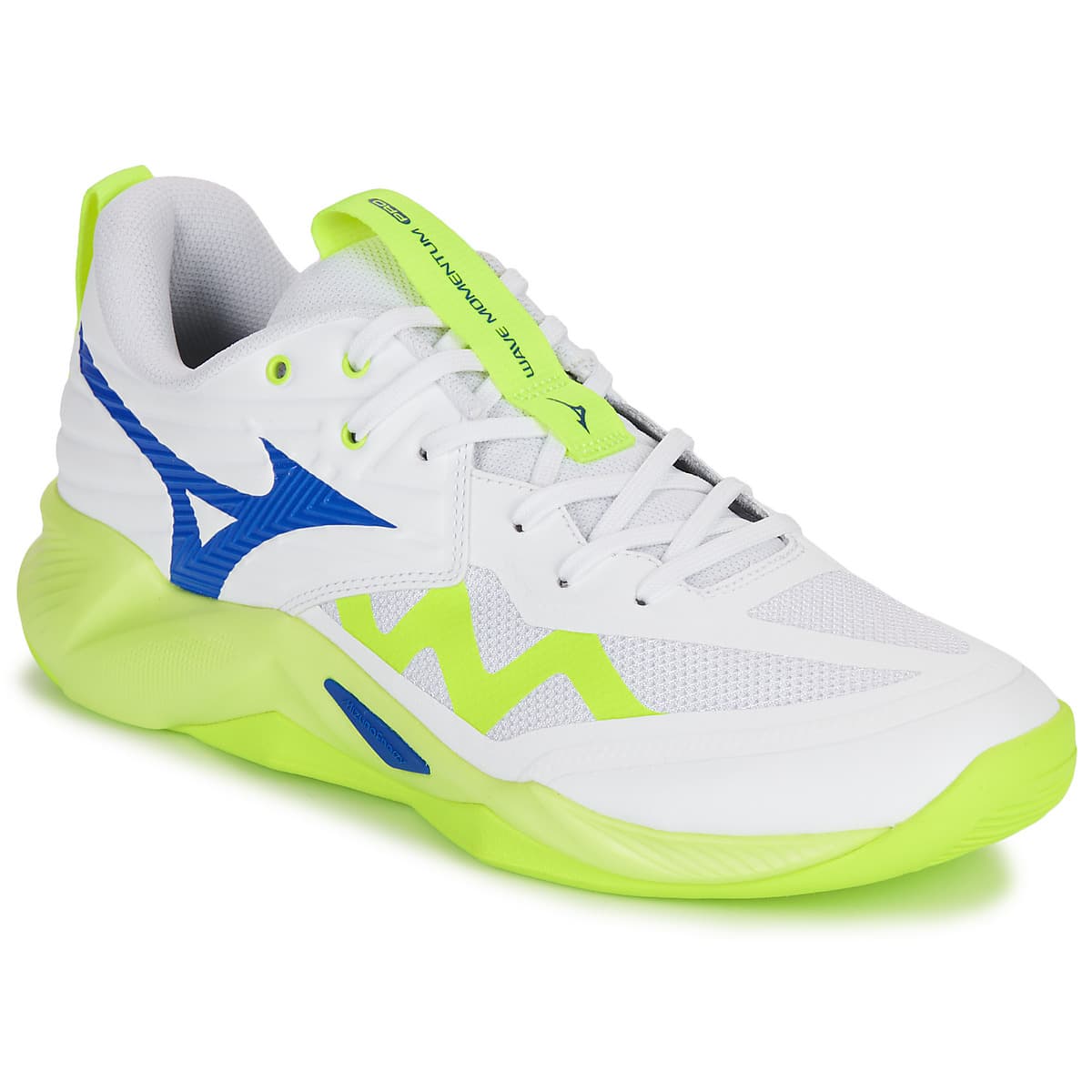 Men's Gym Shoes Mizuno Black