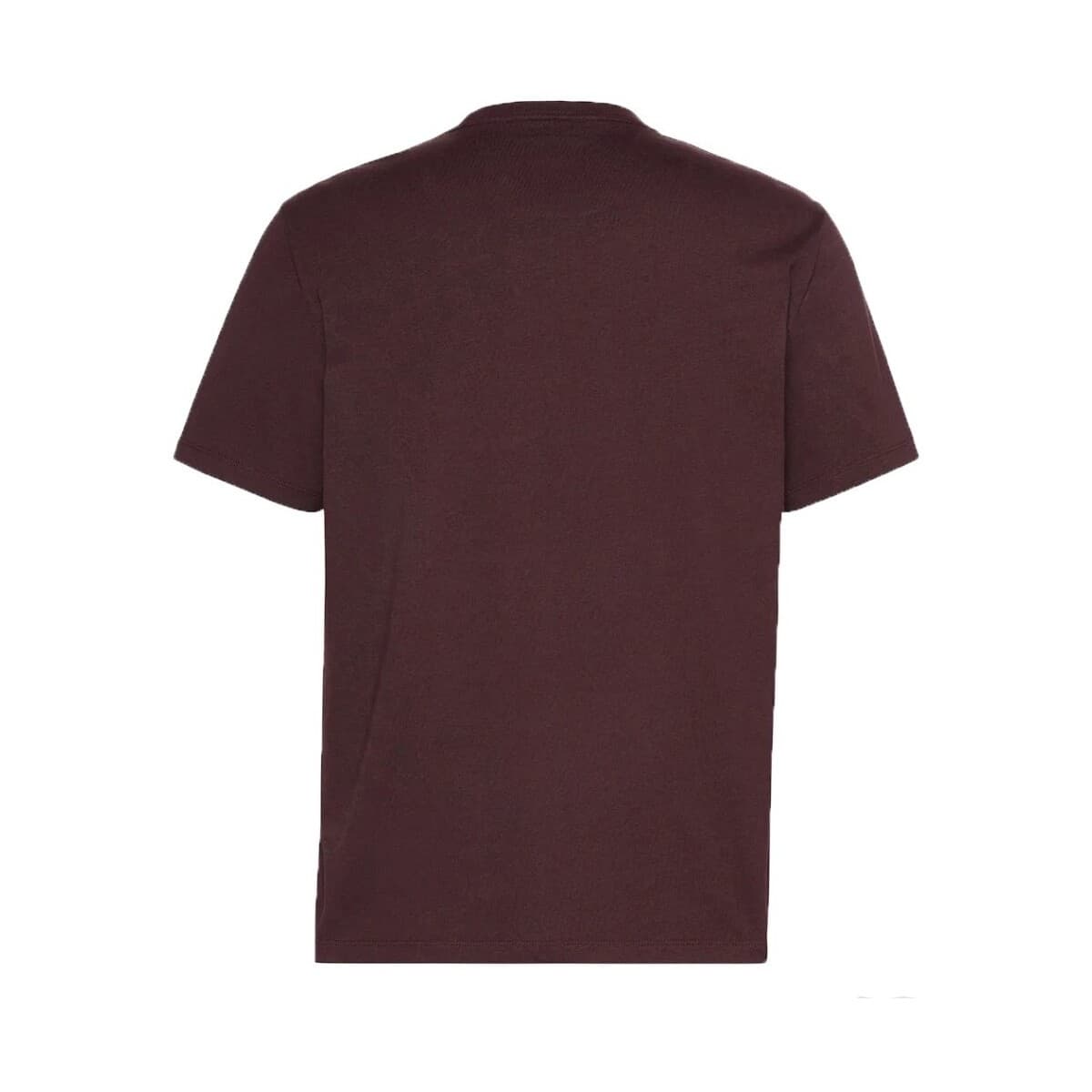 Men's T-Shirts Calvin Klein Brown