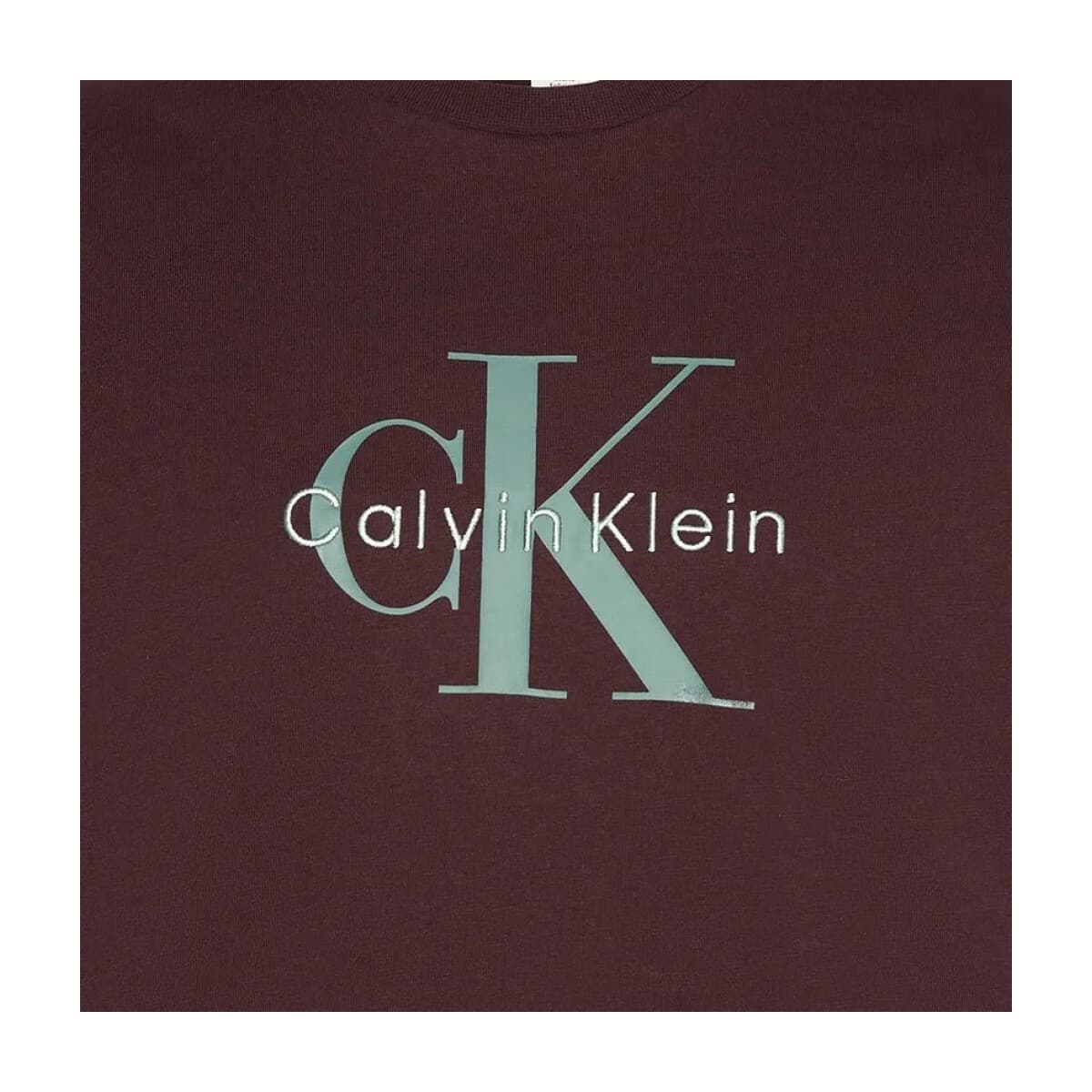 Men's T-Shirts Calvin Klein Brown