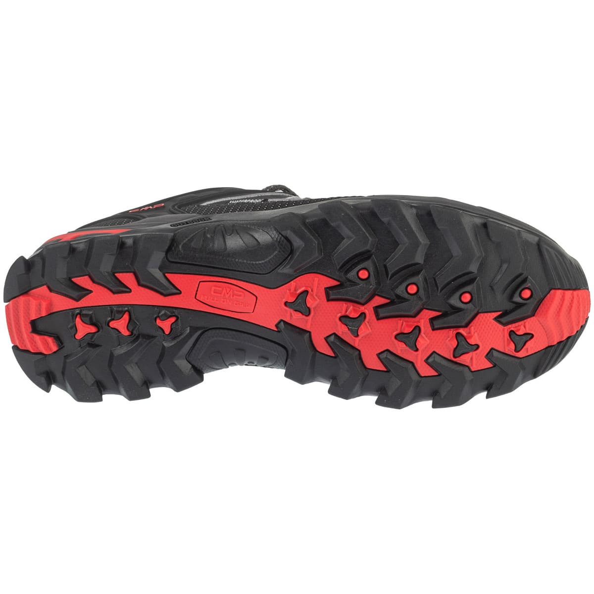 Men's Outdoor Shoes Cmp Gray