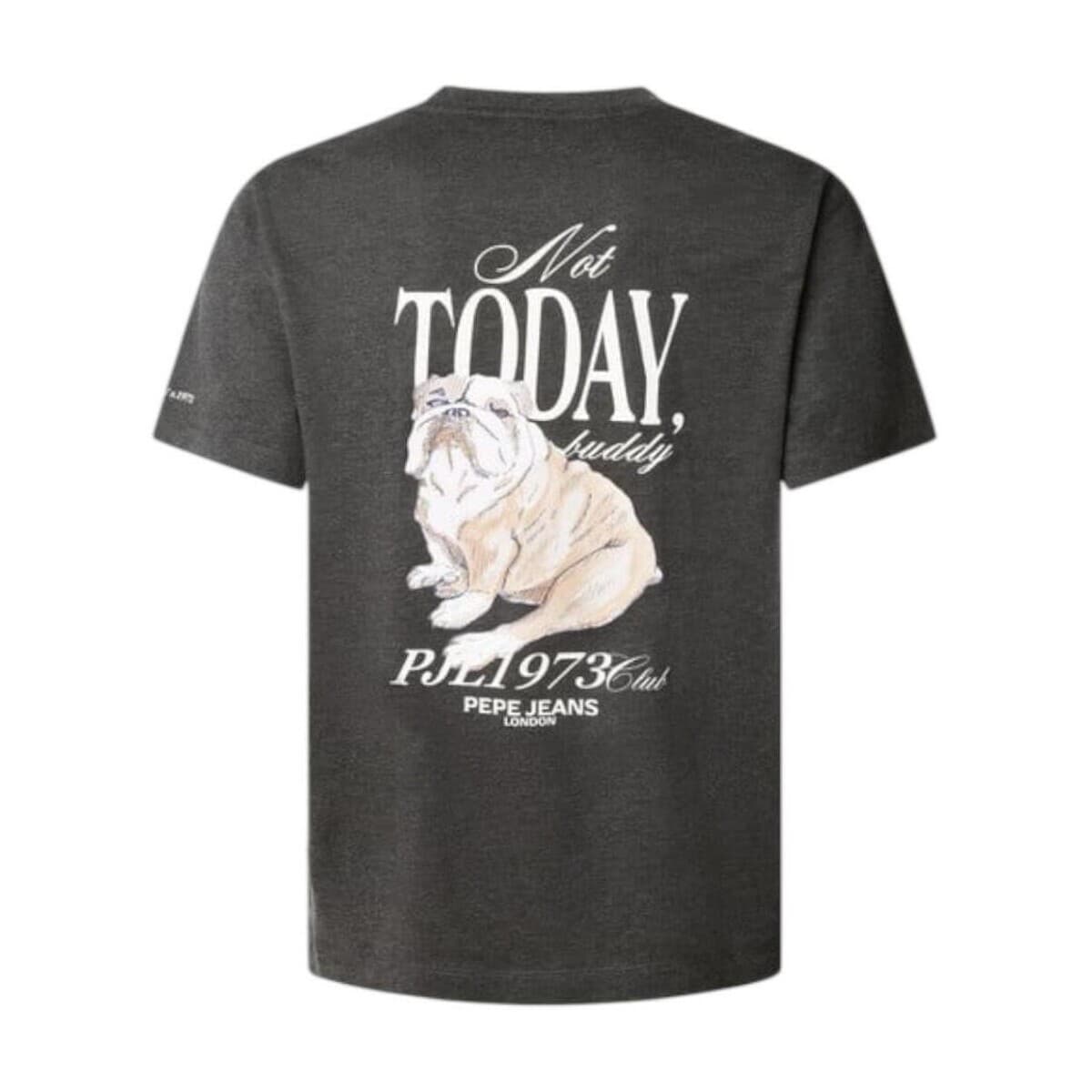 Men's T-Shirts Pepe Jeans Gray