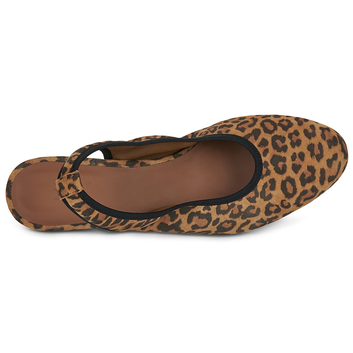 Women's Ballet Flats Otess / Zoï Brown