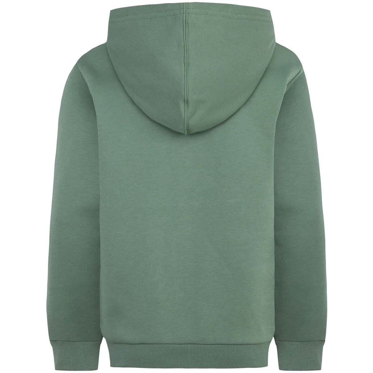 Boys' Hoodies & Sweatshirts Converse Green