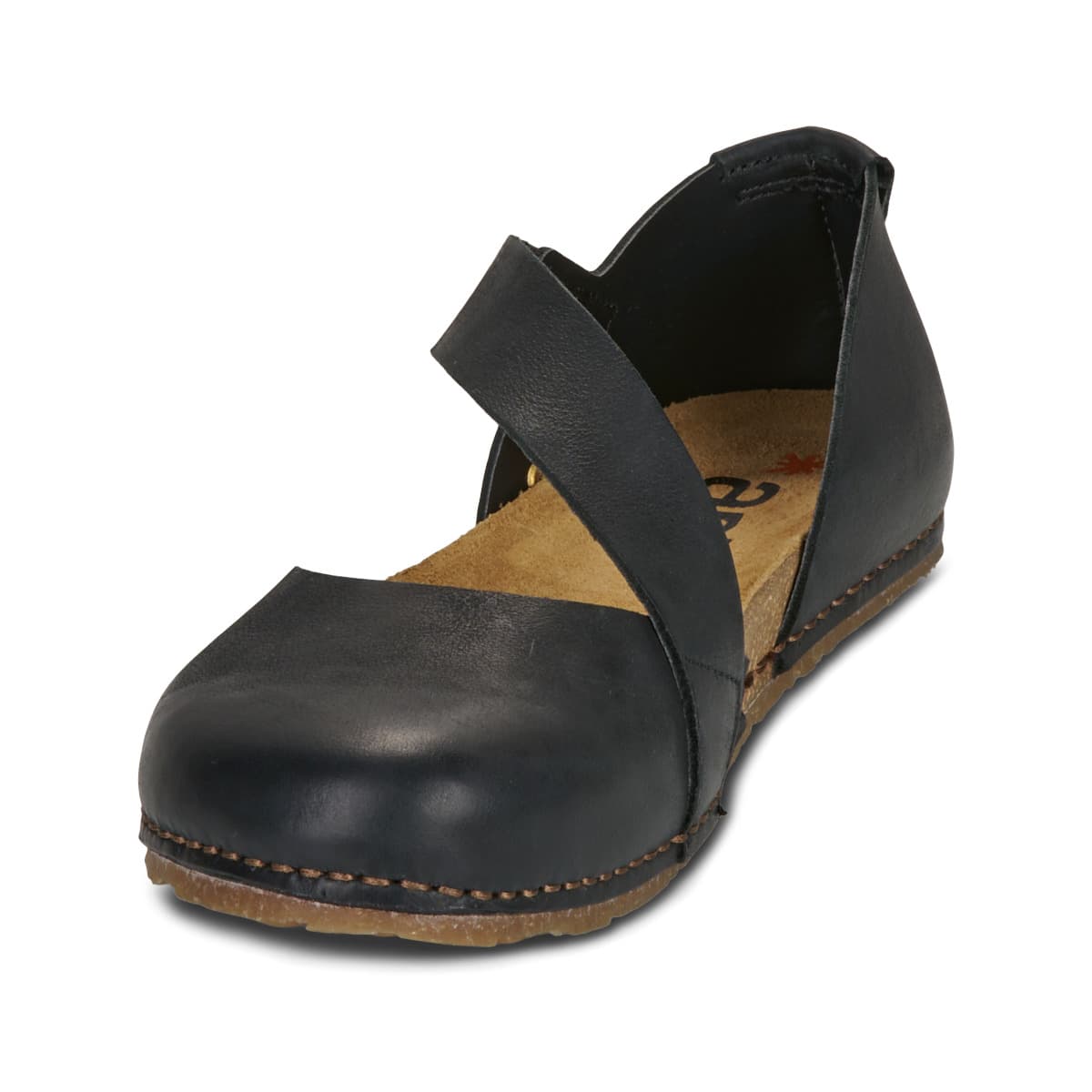 Women's Ballet Flats Art Black