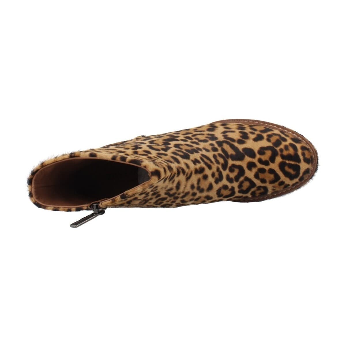 Women's Ankle Boots Pons Quintana Multicolor