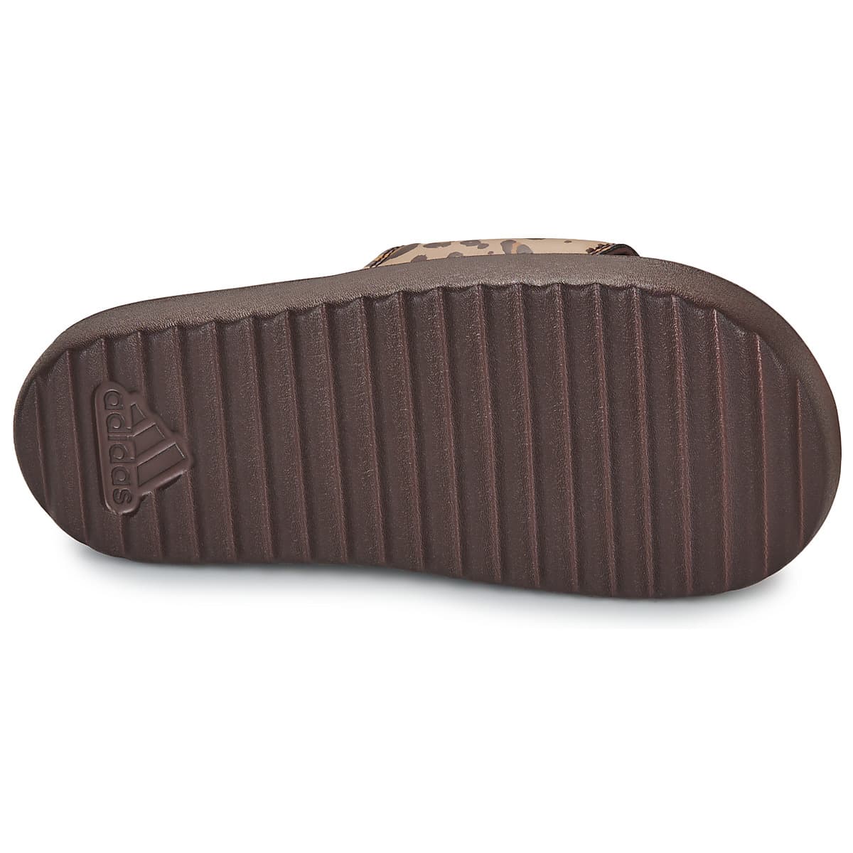 Women's Flip Flops adidas Brown