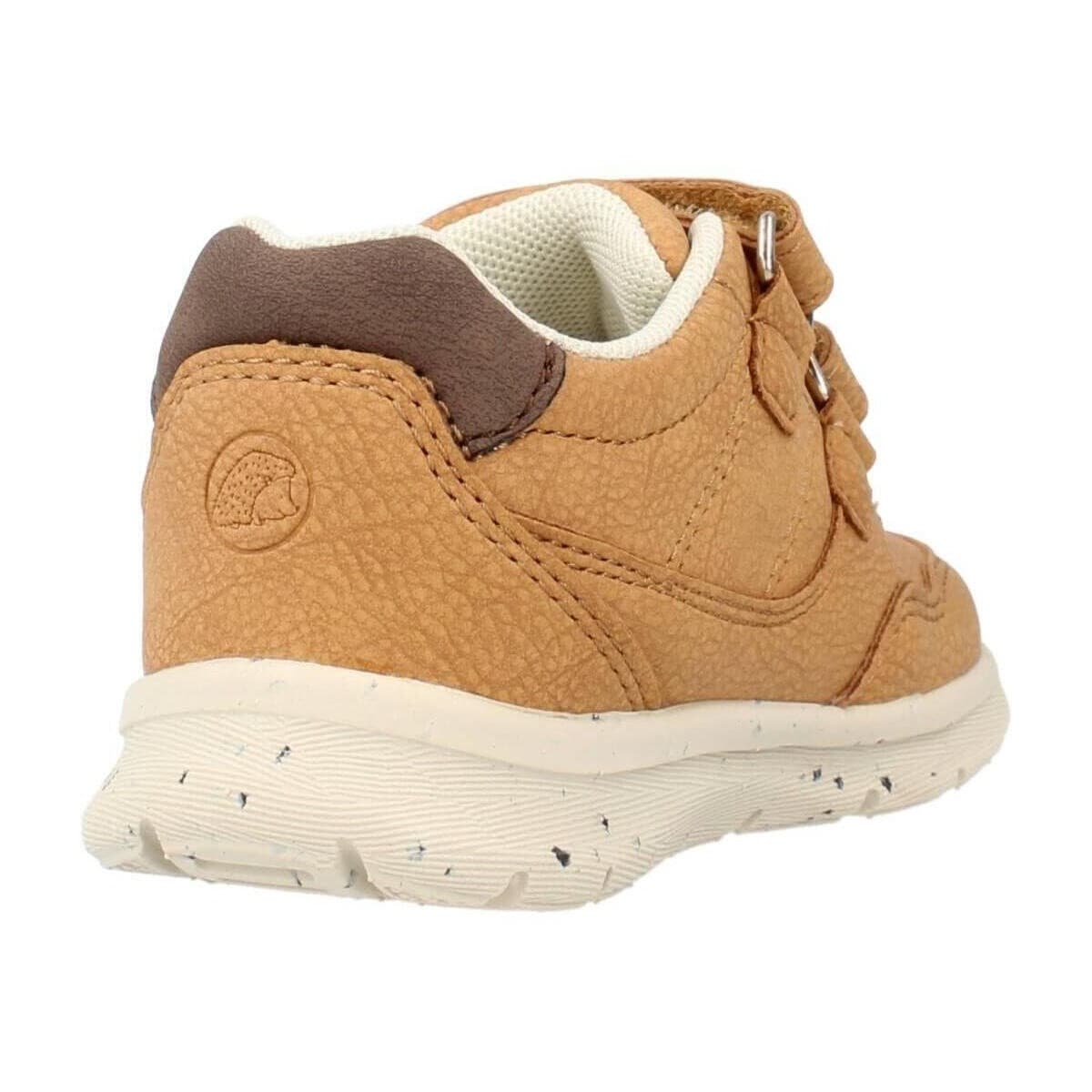Boys' Sneakers Chicco Brown