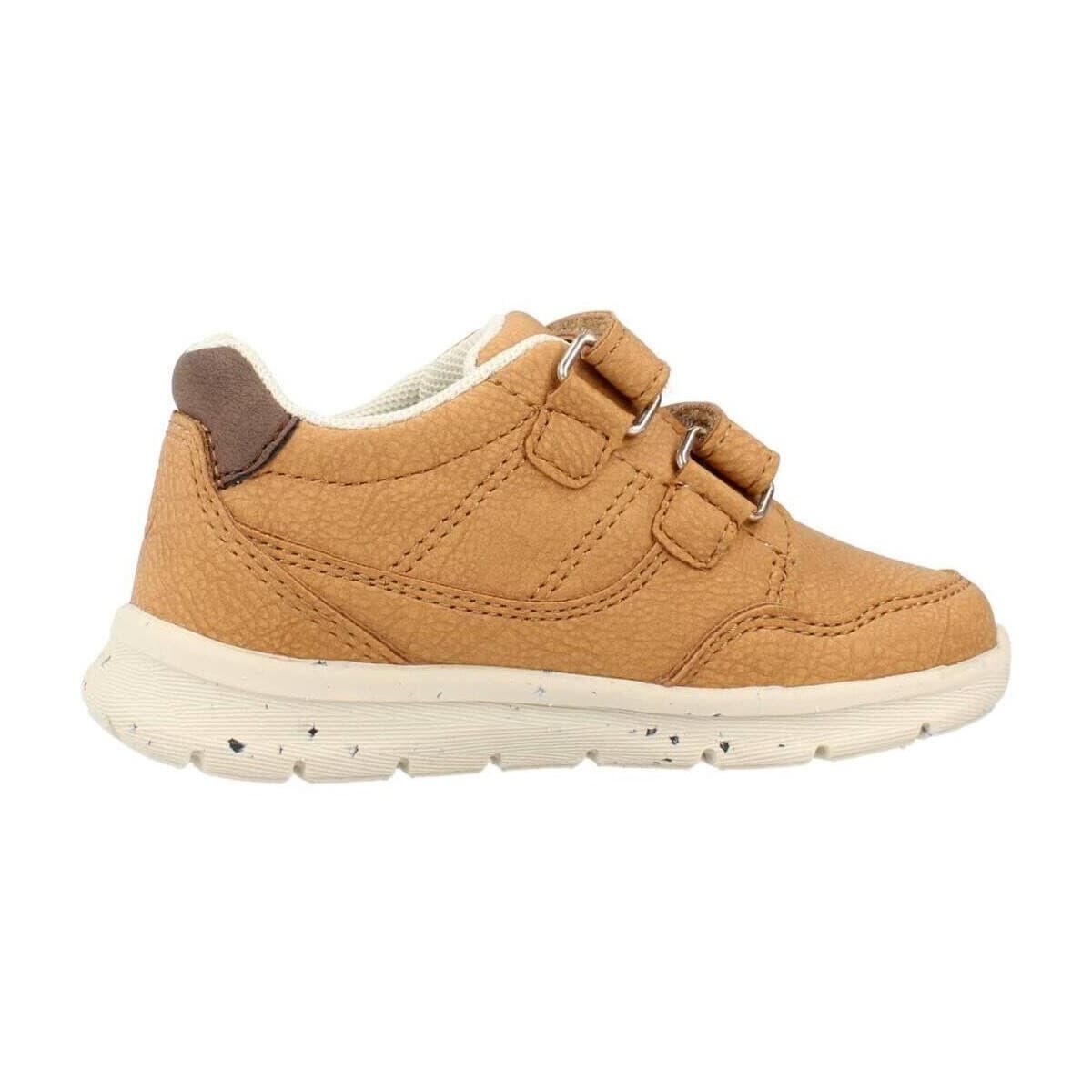 Boys' Sneakers Chicco Brown