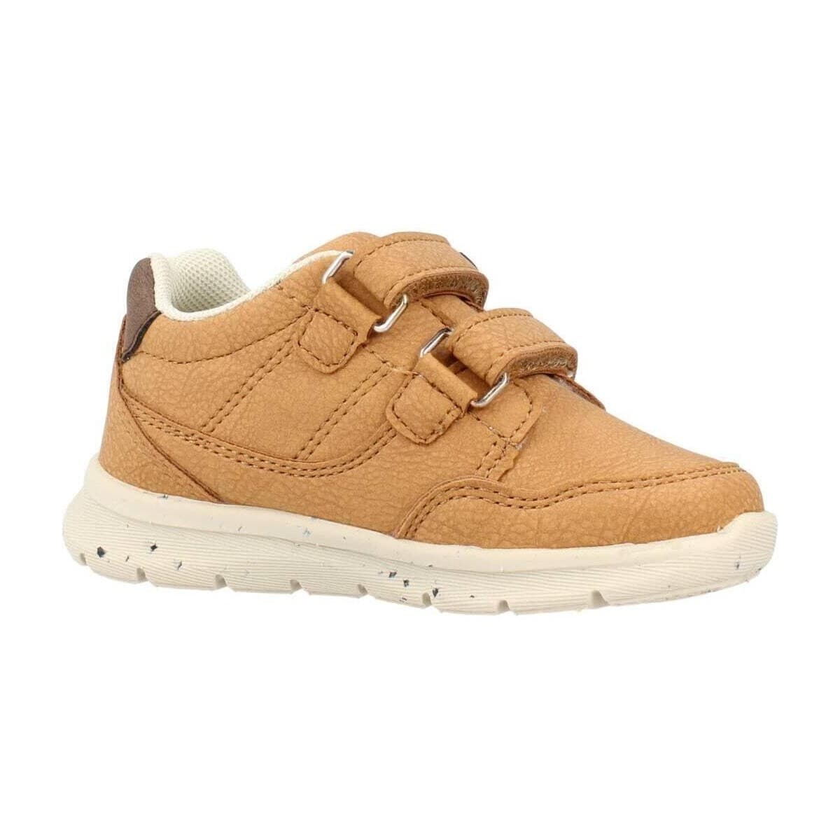 Boys' Sneakers Chicco Brown