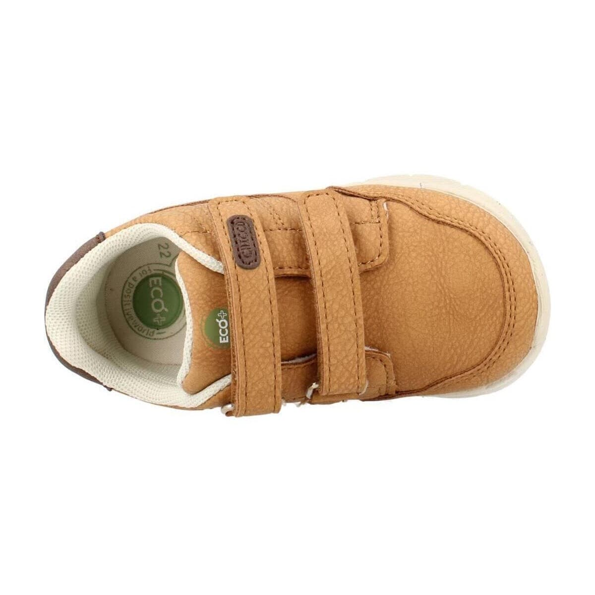 Boys' Sneakers Chicco Brown
