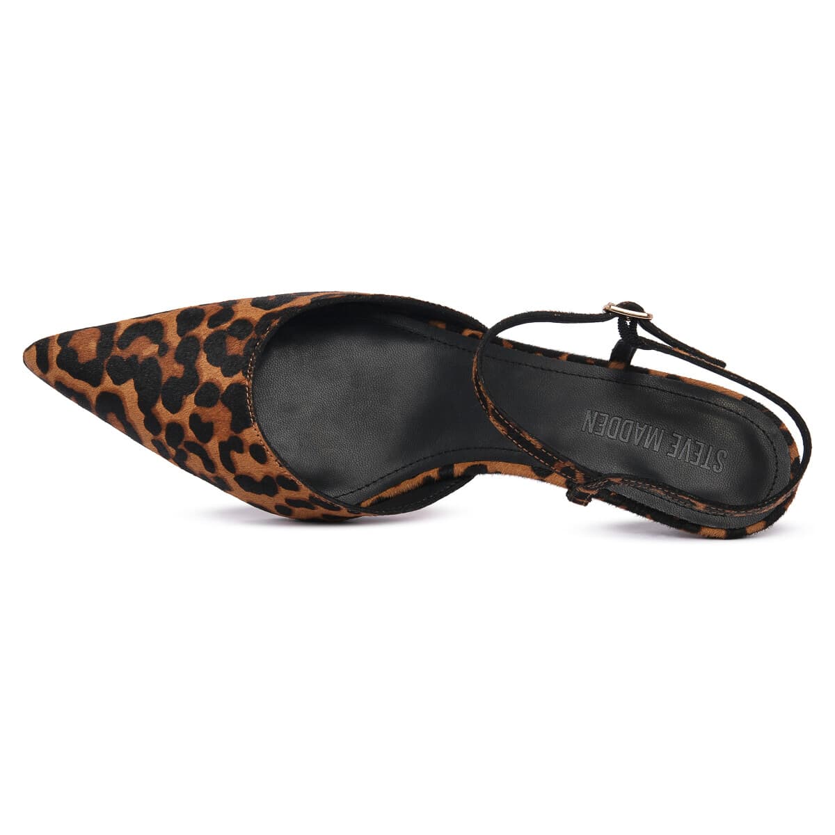 Women's Pumps Steve Madden Brown