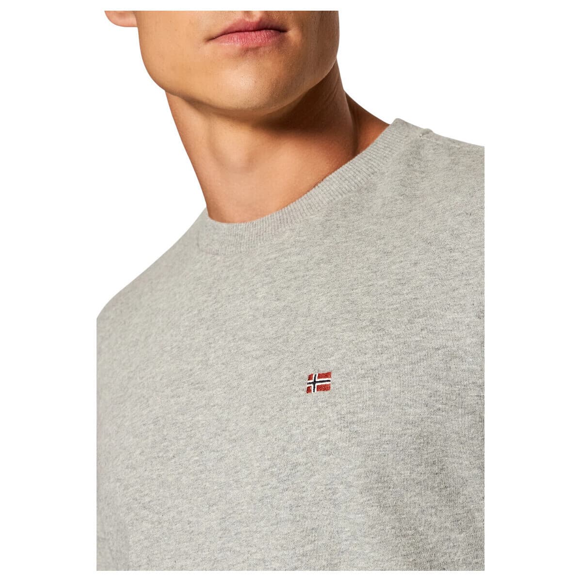 Men's Sports T-Shirts Napapijri Gray