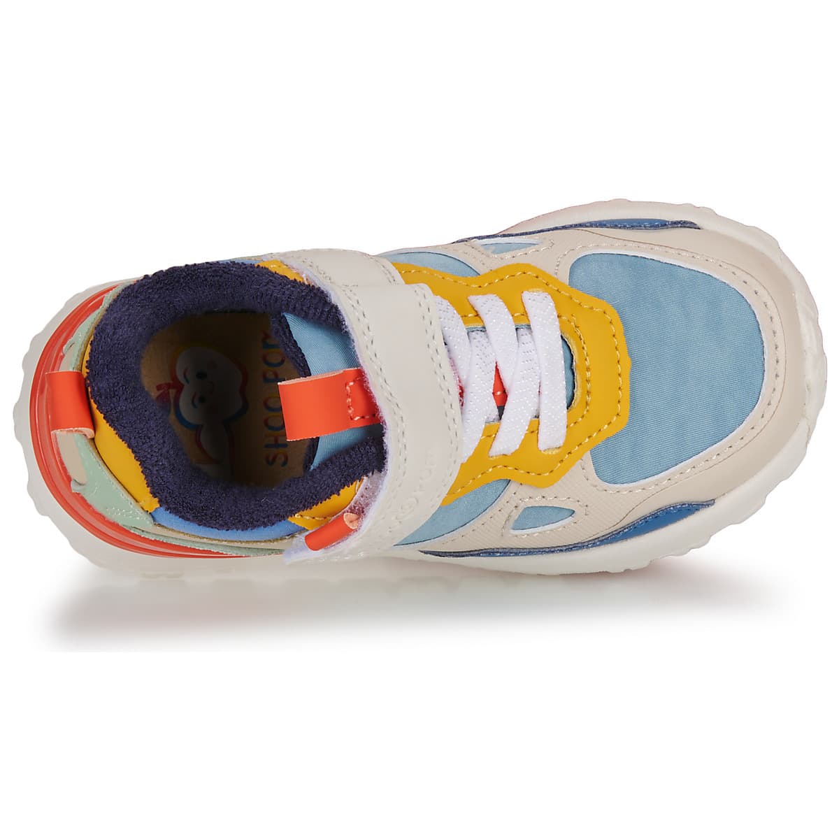 Boys' Sneakers Shoo Pom Multicolor