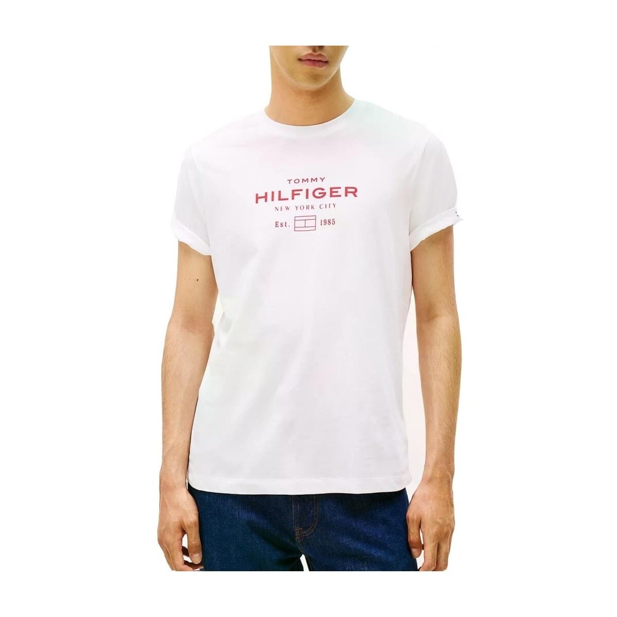 T-shirts & Polos Tommy Hilfiger Camisetas Hombre Modèle Hilfiger Stack Graphic T