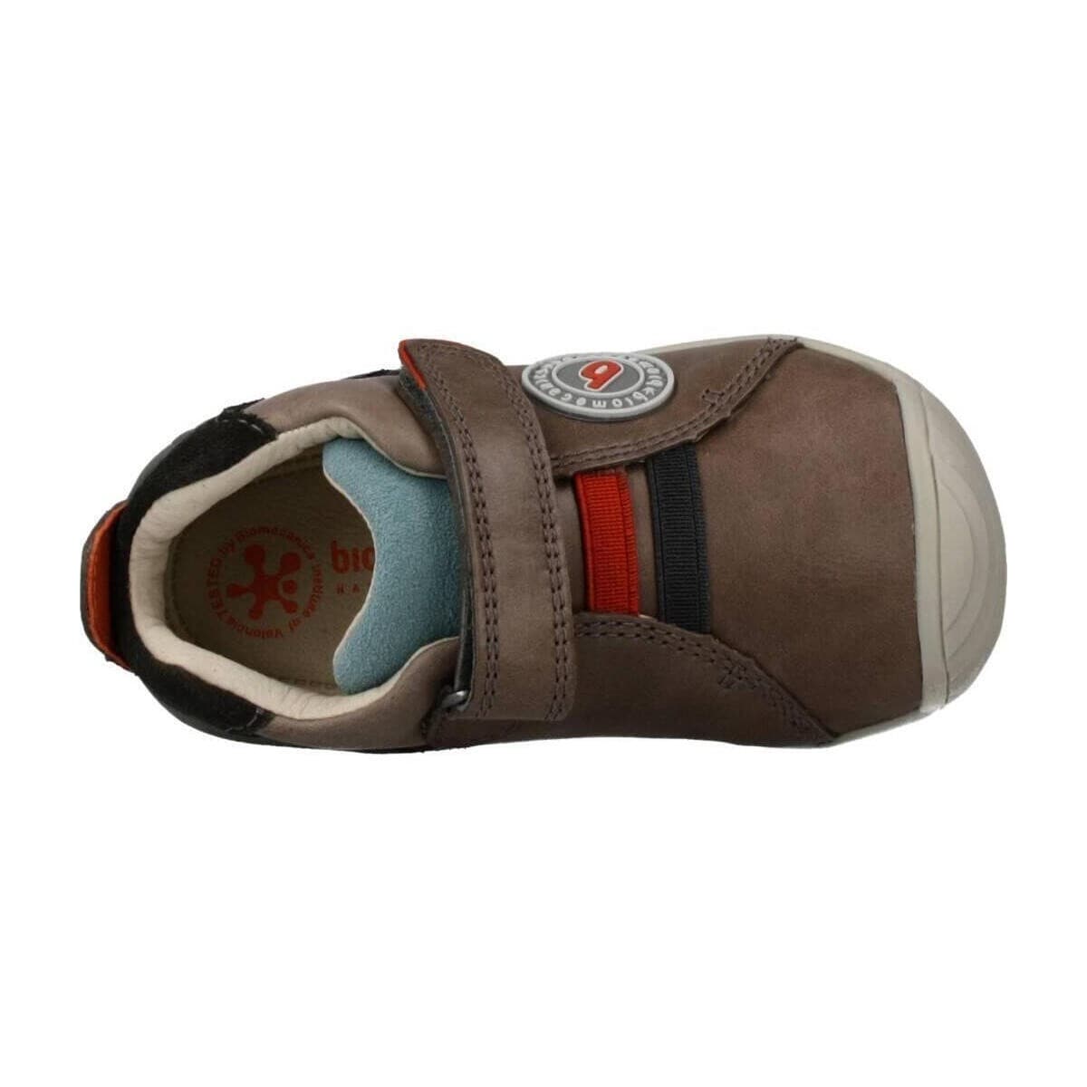 Boys' Sneakers Biomecanics Brown