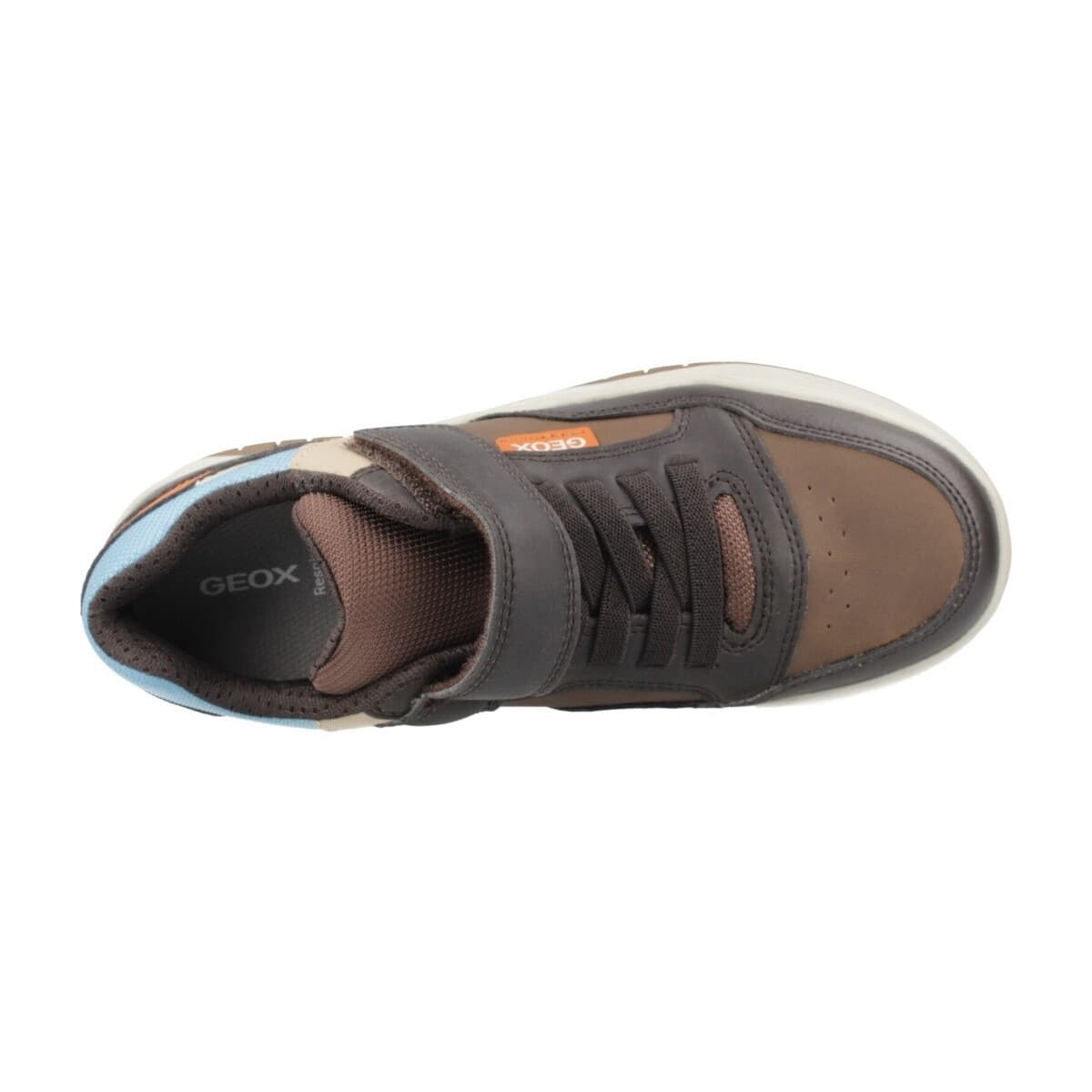 Boys' Sneakers Geox Brown