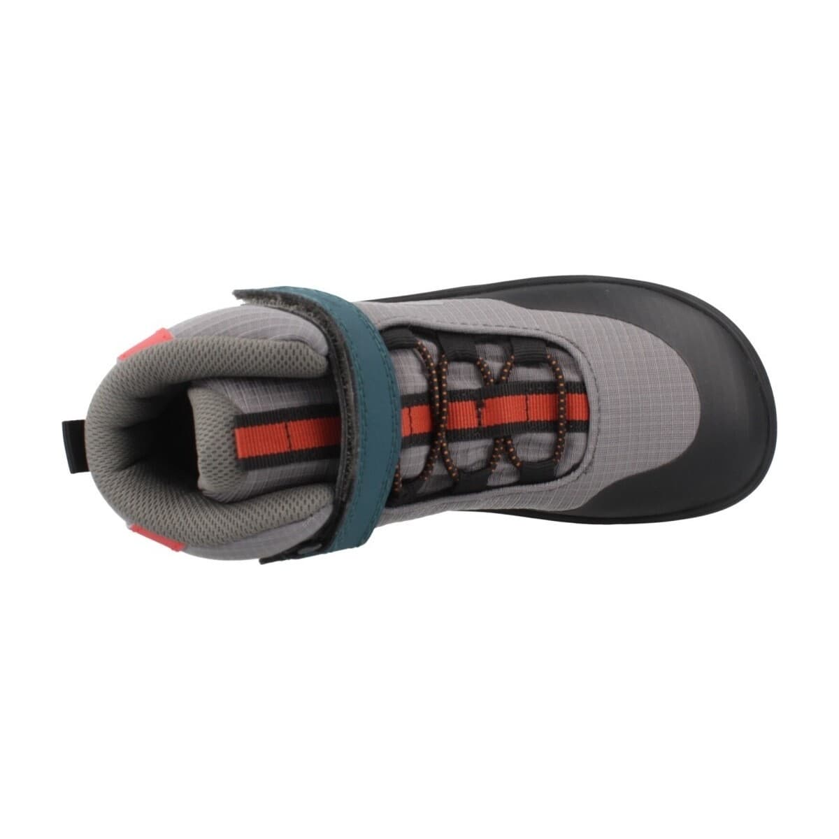 Girls' Sneakers Primigi Gray