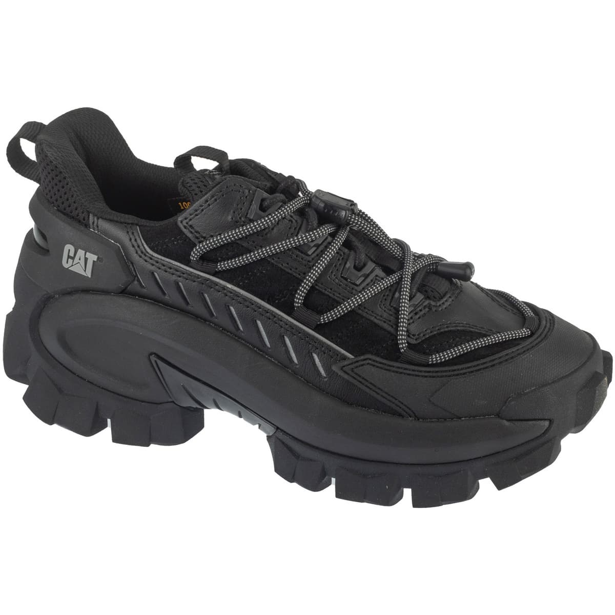 Trail Caterpillar Intruder