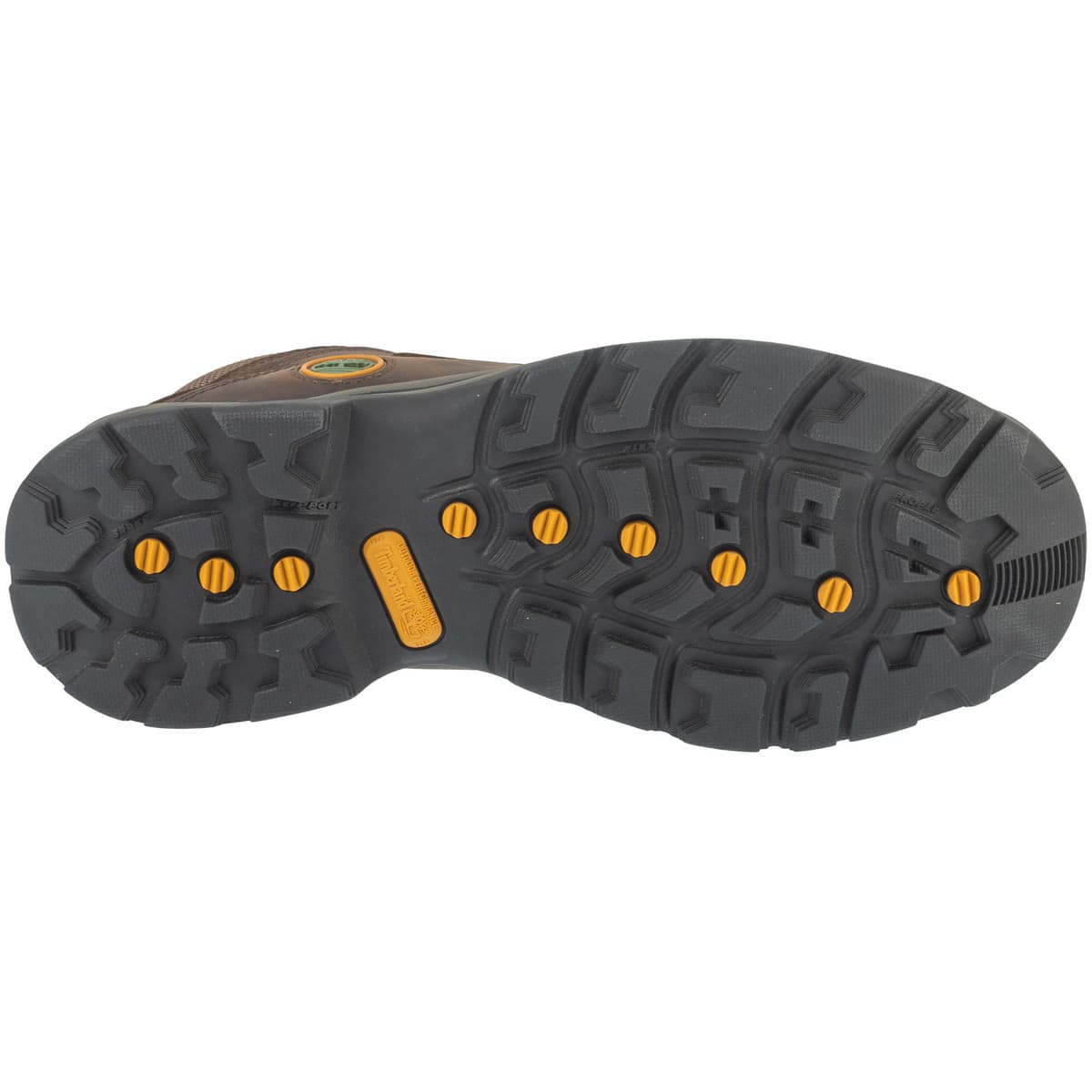 Men's Outdoor Shoes Timberland Brown