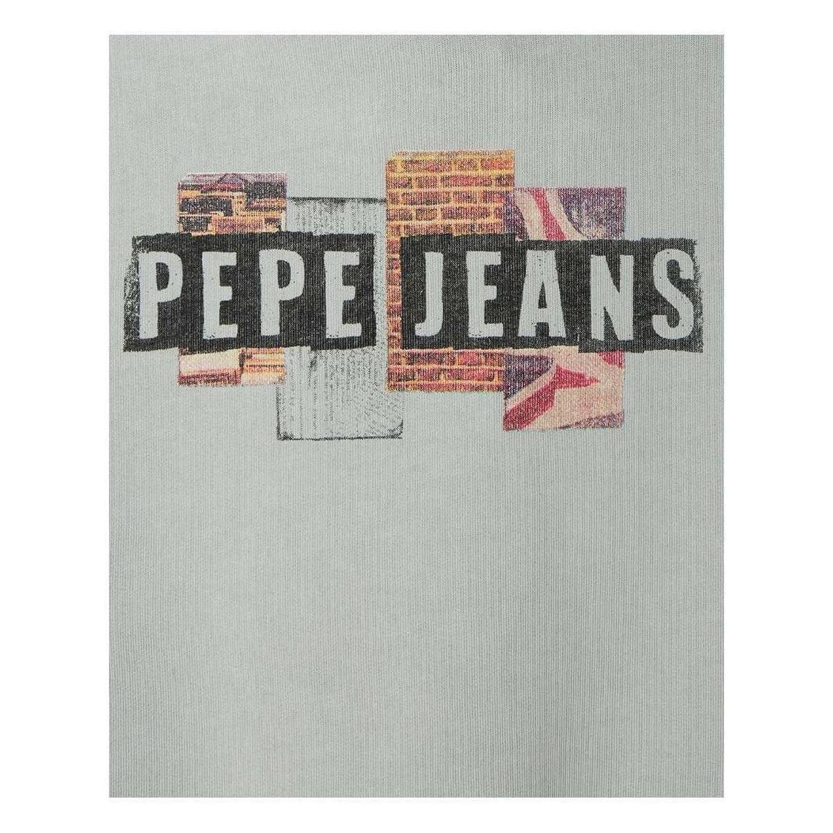 Boys' Hoodies & Sweatshirts Pepe Jeans Gray