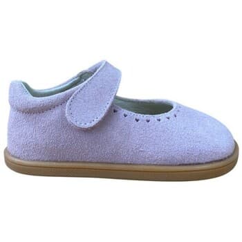 Blanditos DELHI MERCEDITAS RESPETUOSA Rosa Palo