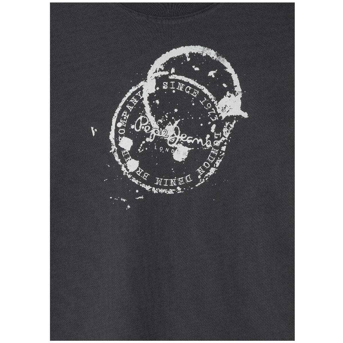 Boys' T-Shirts Pepe Jeans Gray
