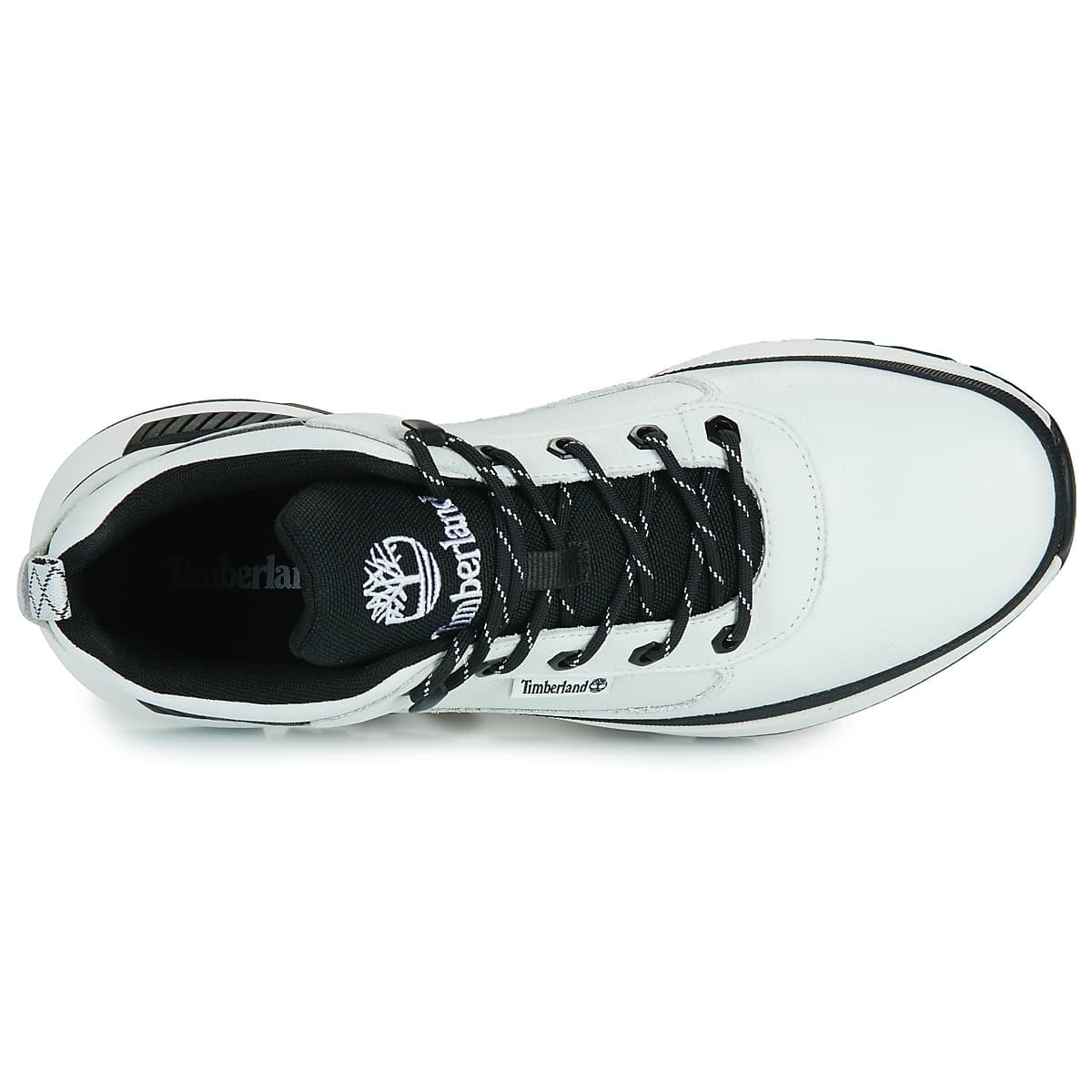 Men's Sneakers Timberland White