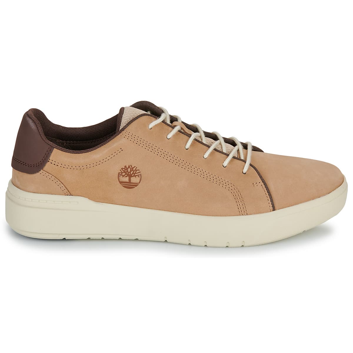 Men's Sneakers Timberland Brown