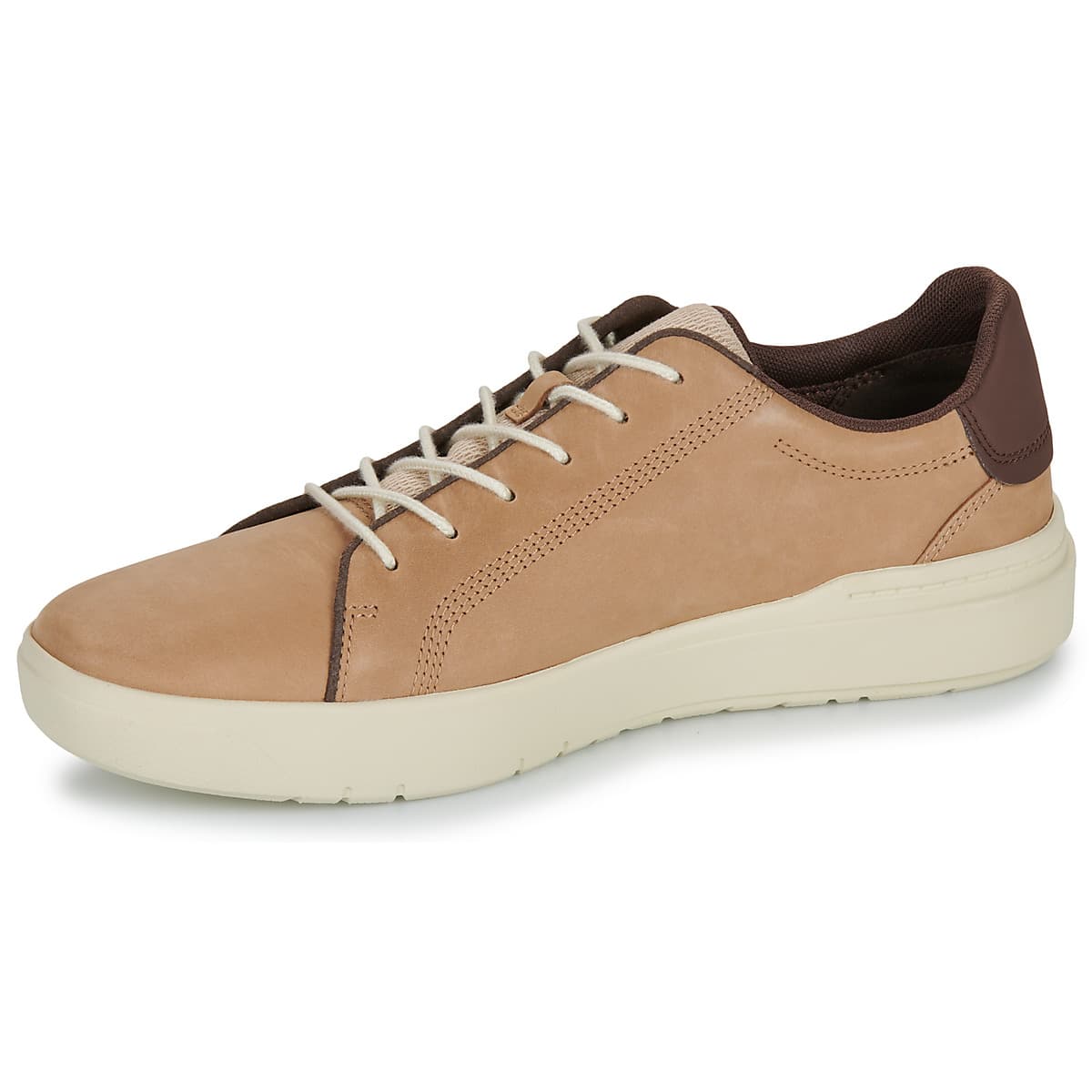 Men's Sneakers Timberland Brown