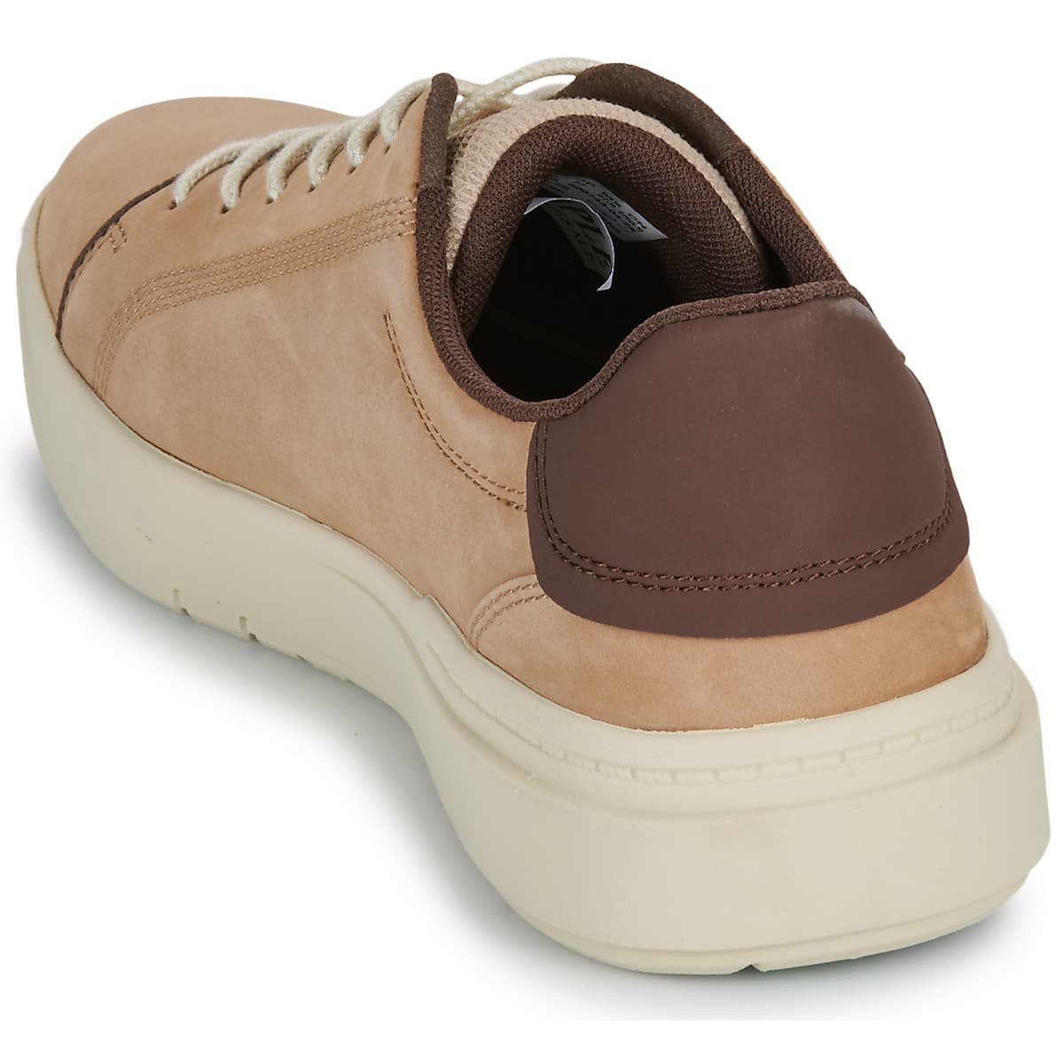 Men's Sneakers Timberland Brown