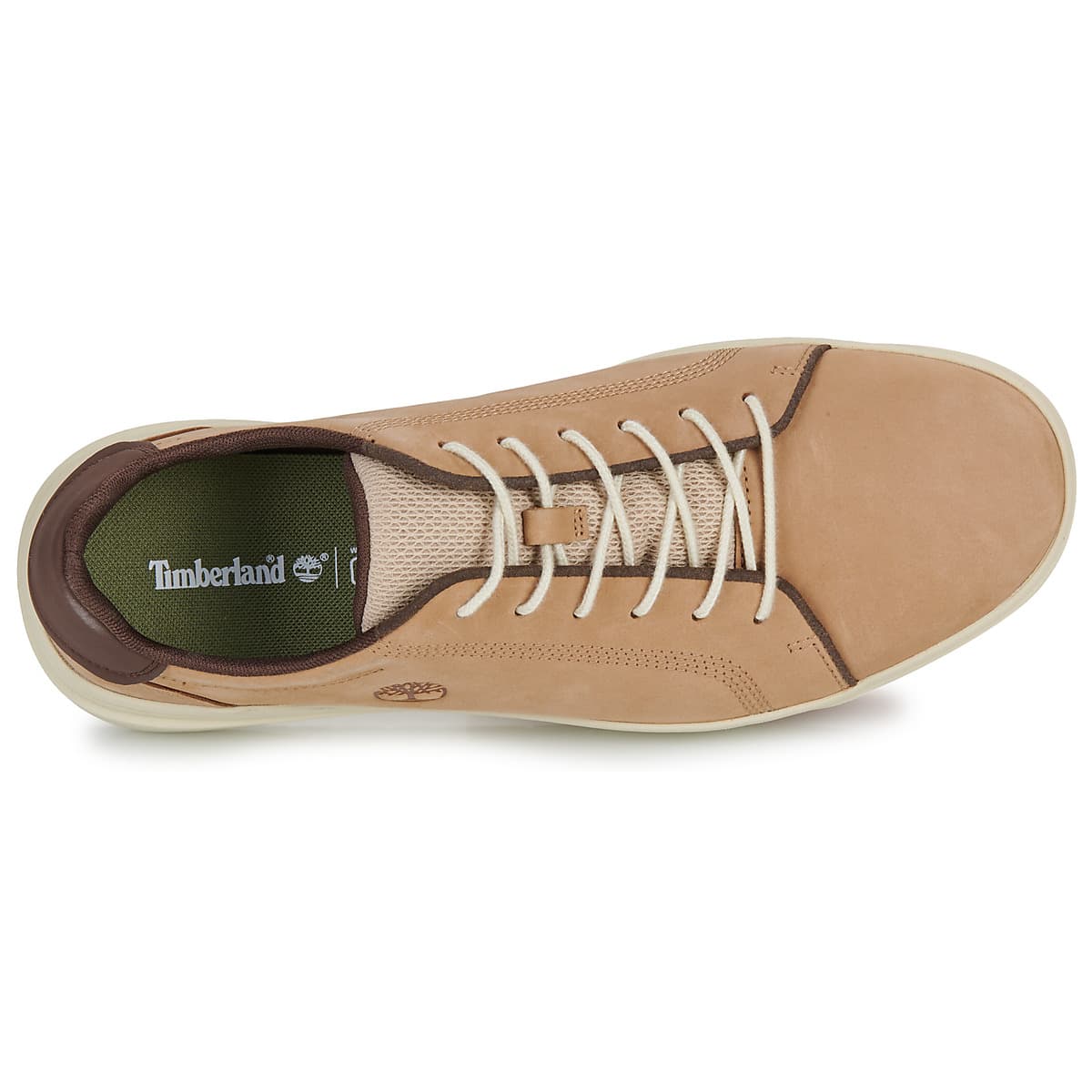 Men's Sneakers Timberland Brown