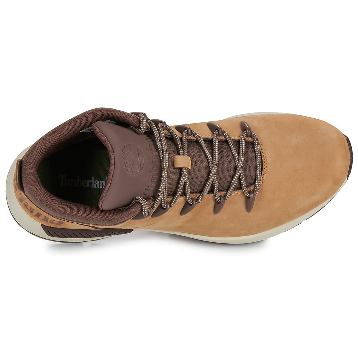 Men's Sneakers Timberland Brown