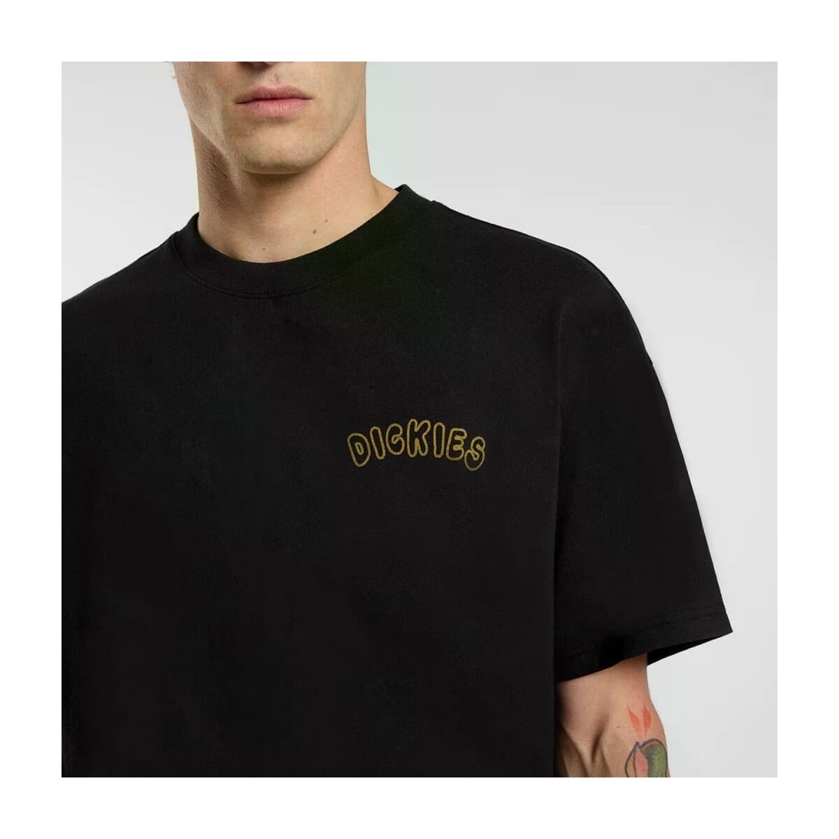 Men's T-Shirts Dickies Black
