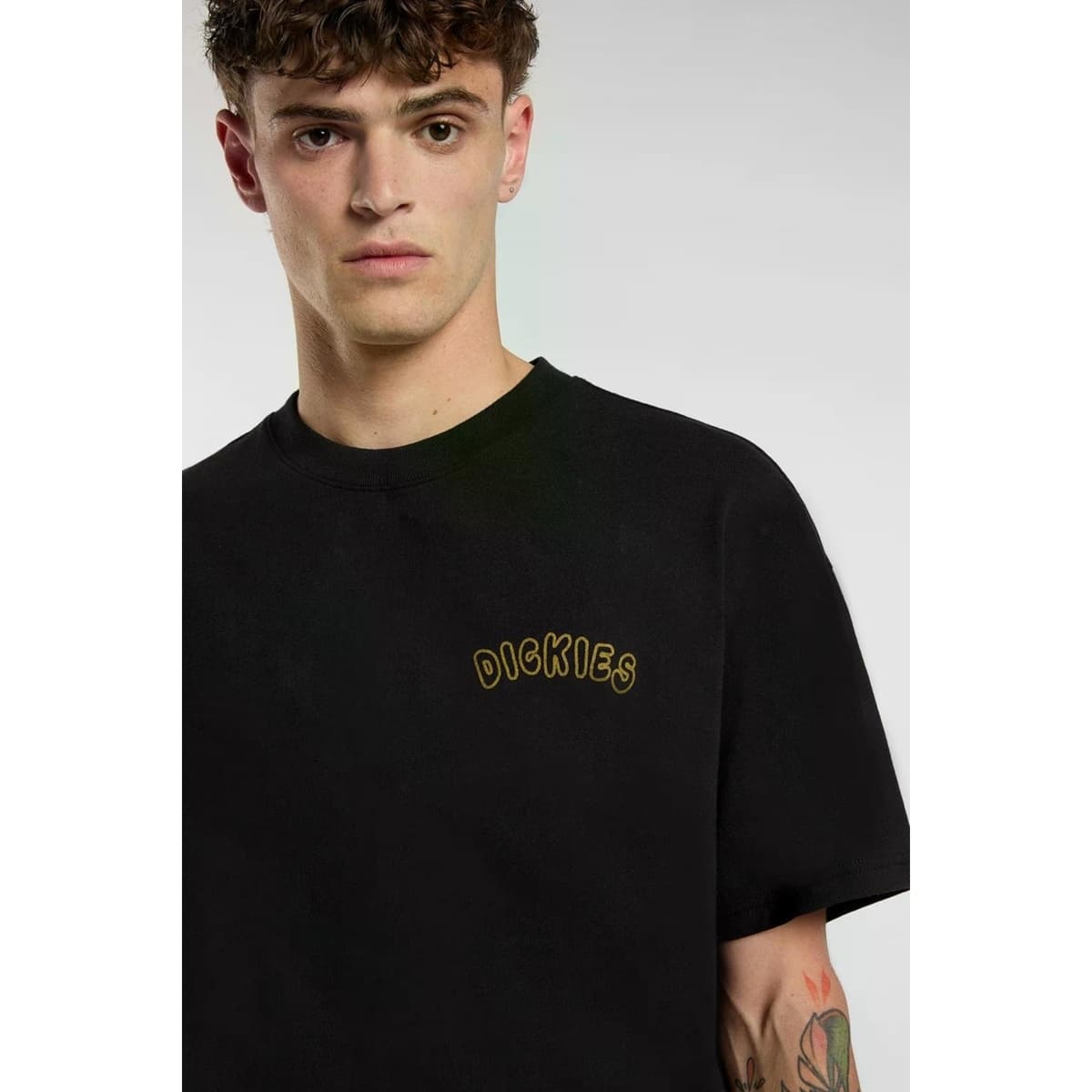 Men's T-Shirts Dickies Black