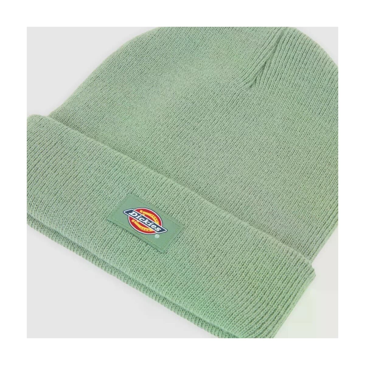 Women's Beanies Dickies Green