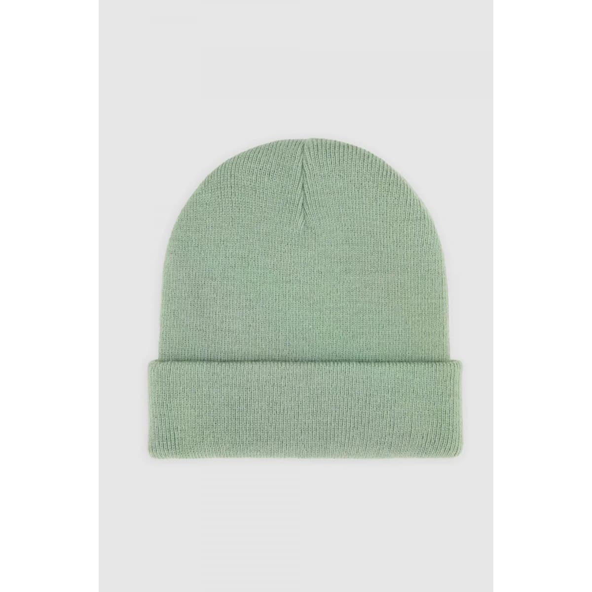 Women's Beanies Dickies Green