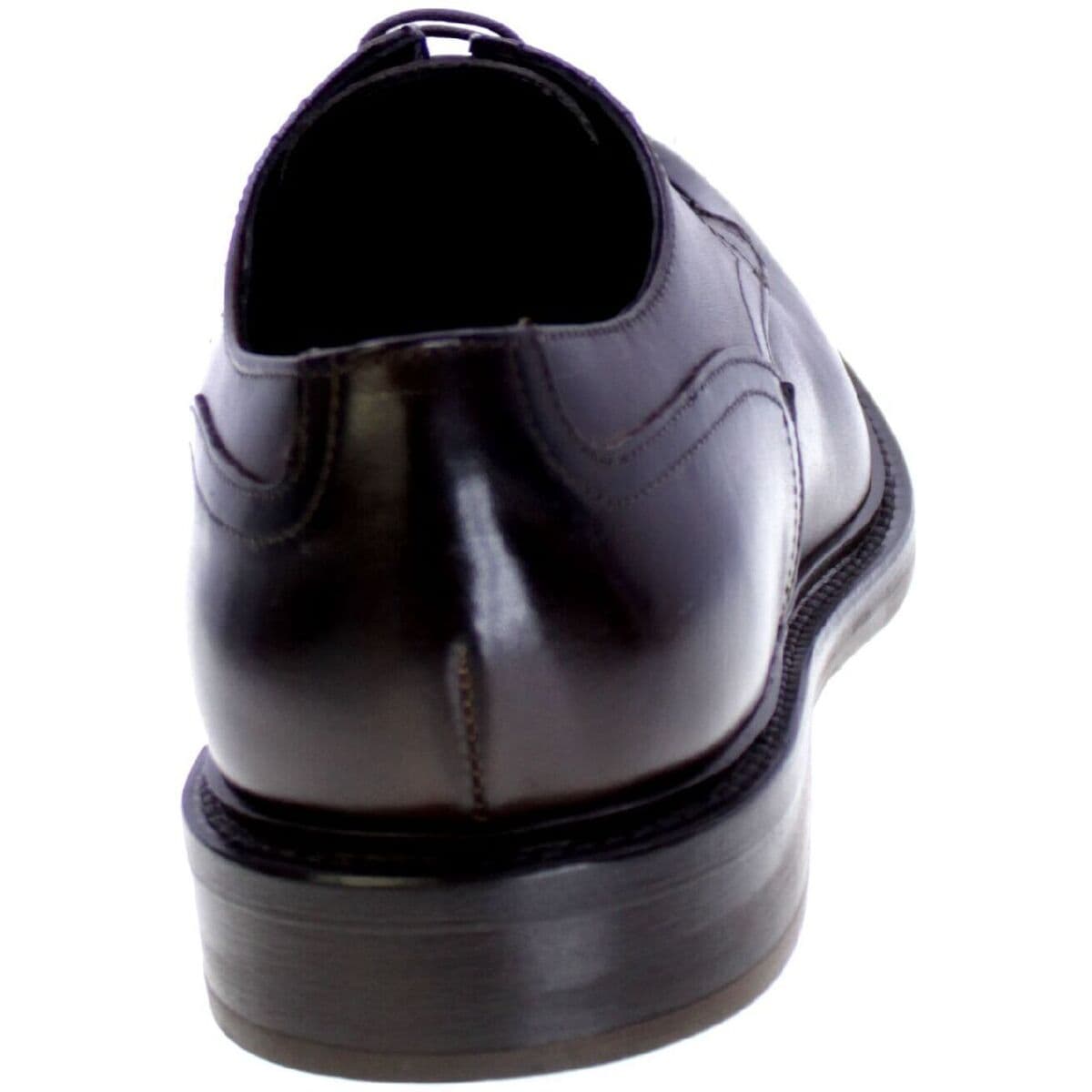 Men's Derby Shoes Arcuri Brown