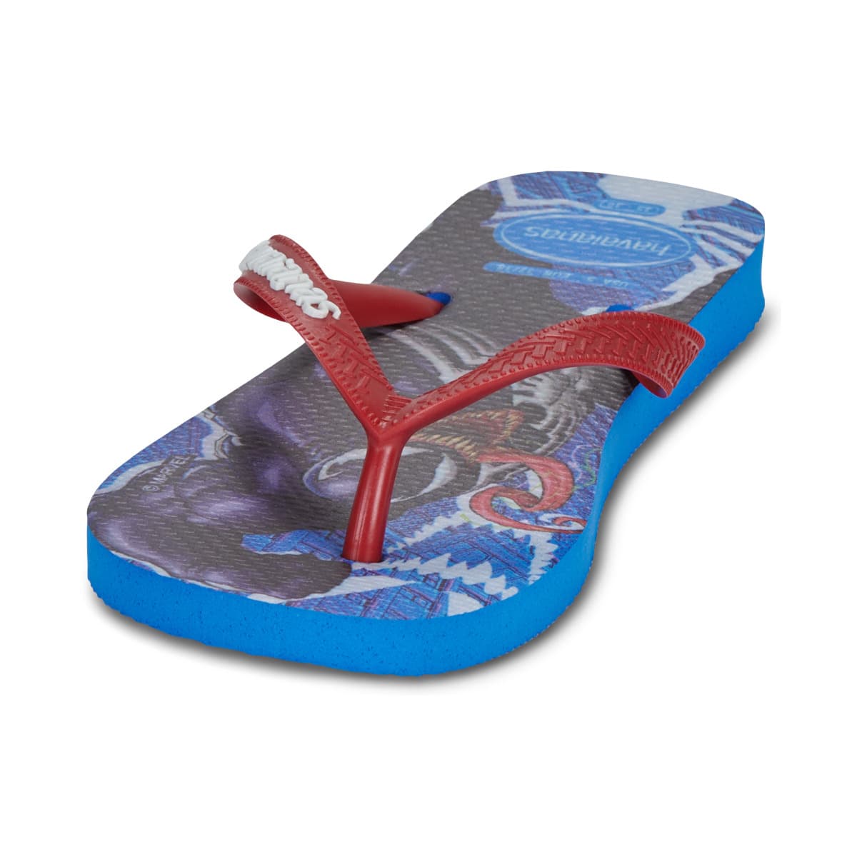 Boys' Flip Flops Havaianas Blue