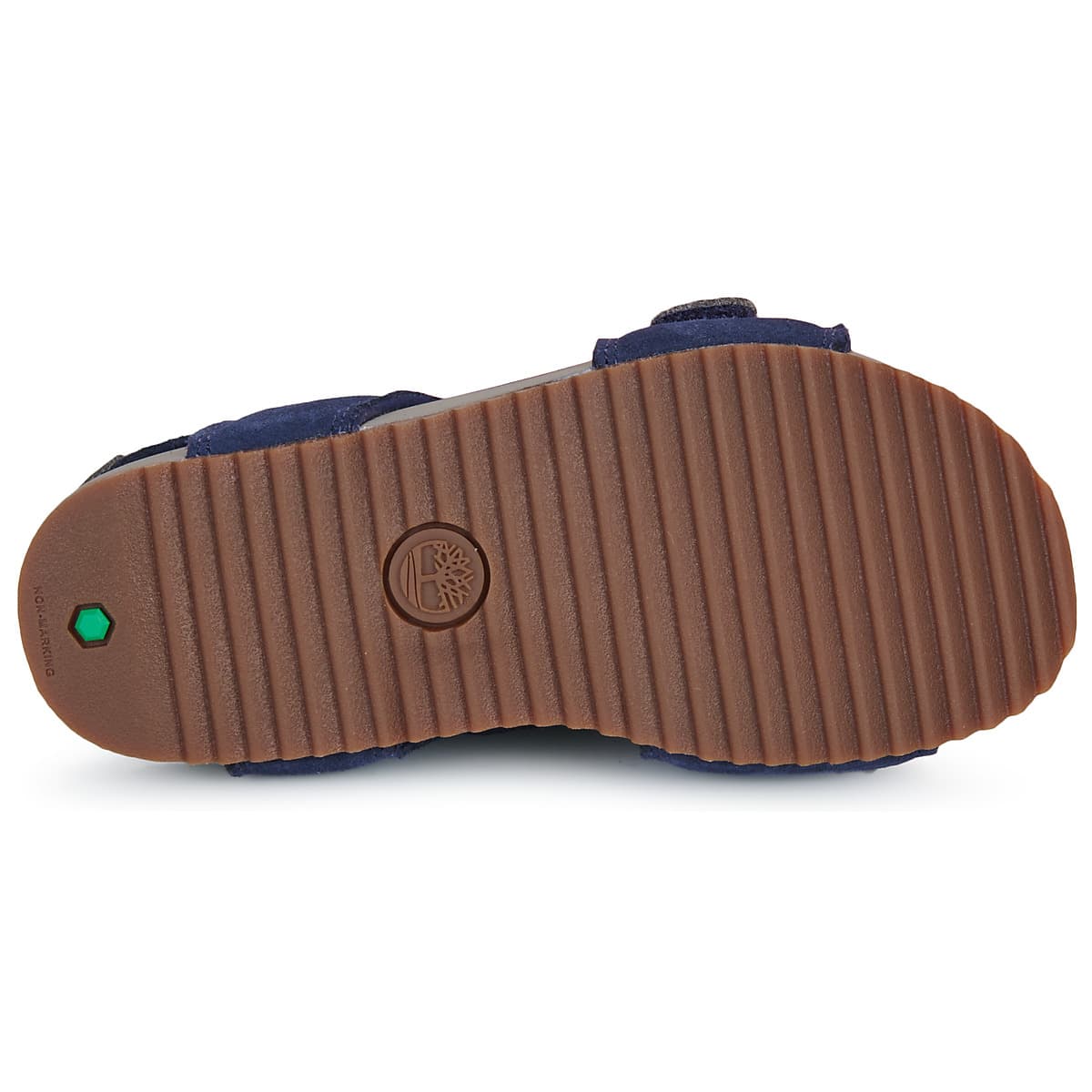 Boys' Sandals Timberland Blue