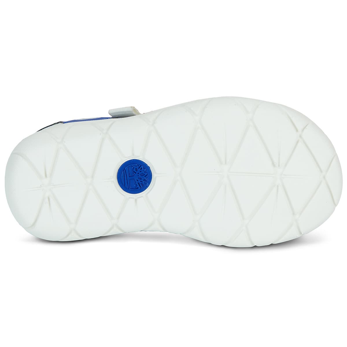 Boys' Sandals Timberland Blue