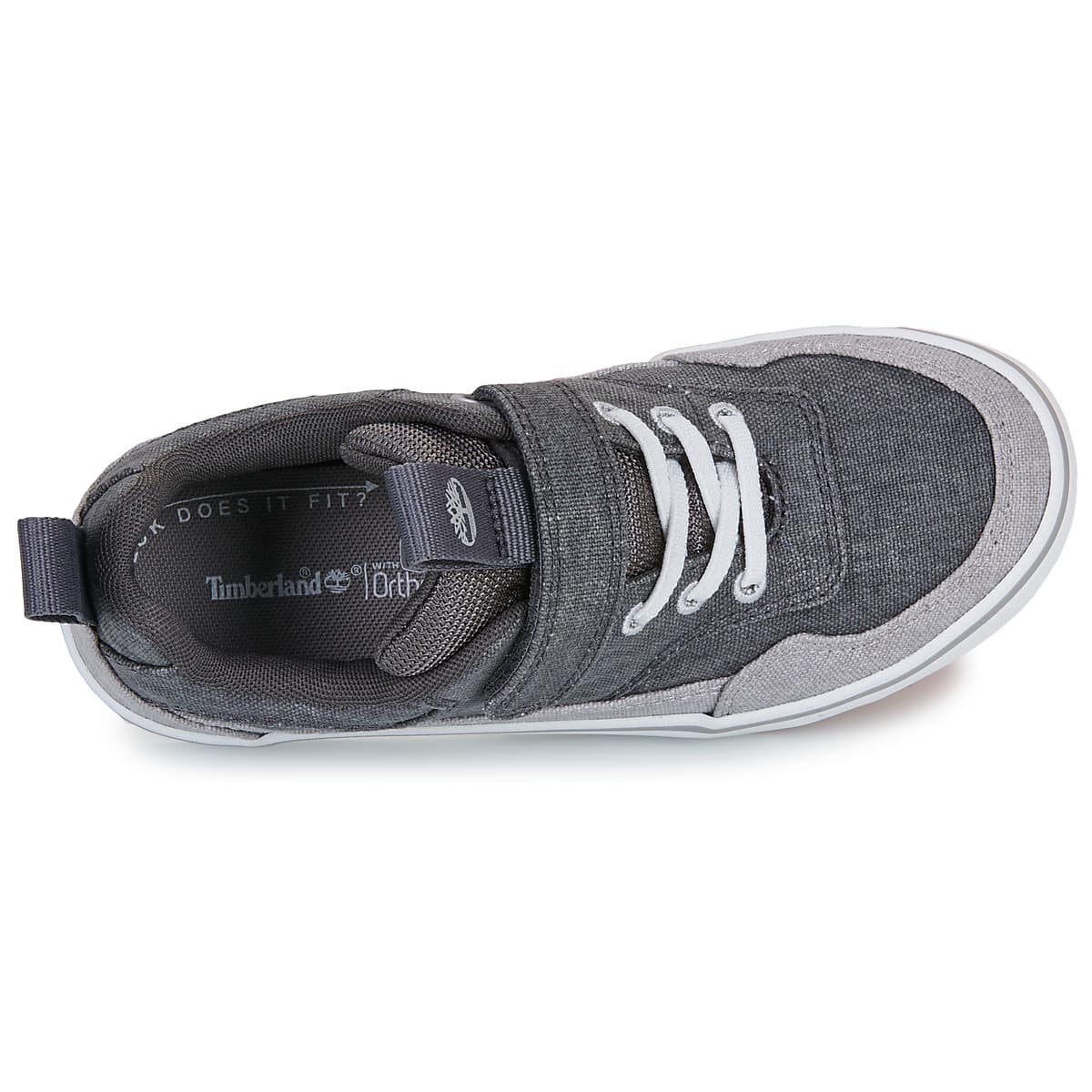 Girls' Sneakers Timberland Gray