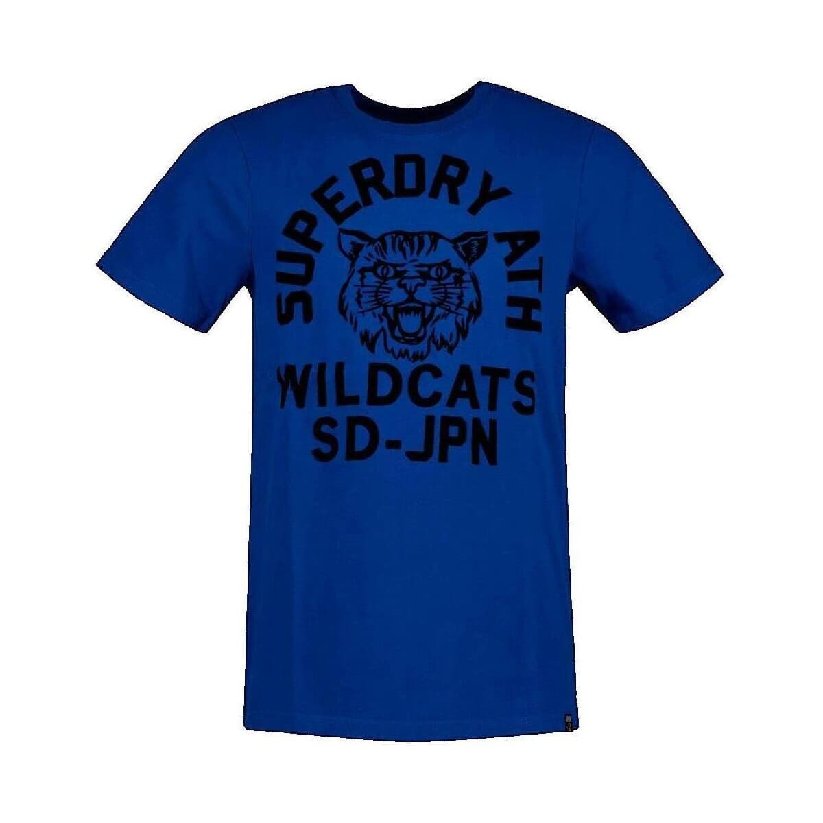 Men's T-Shirts Superdry Blue