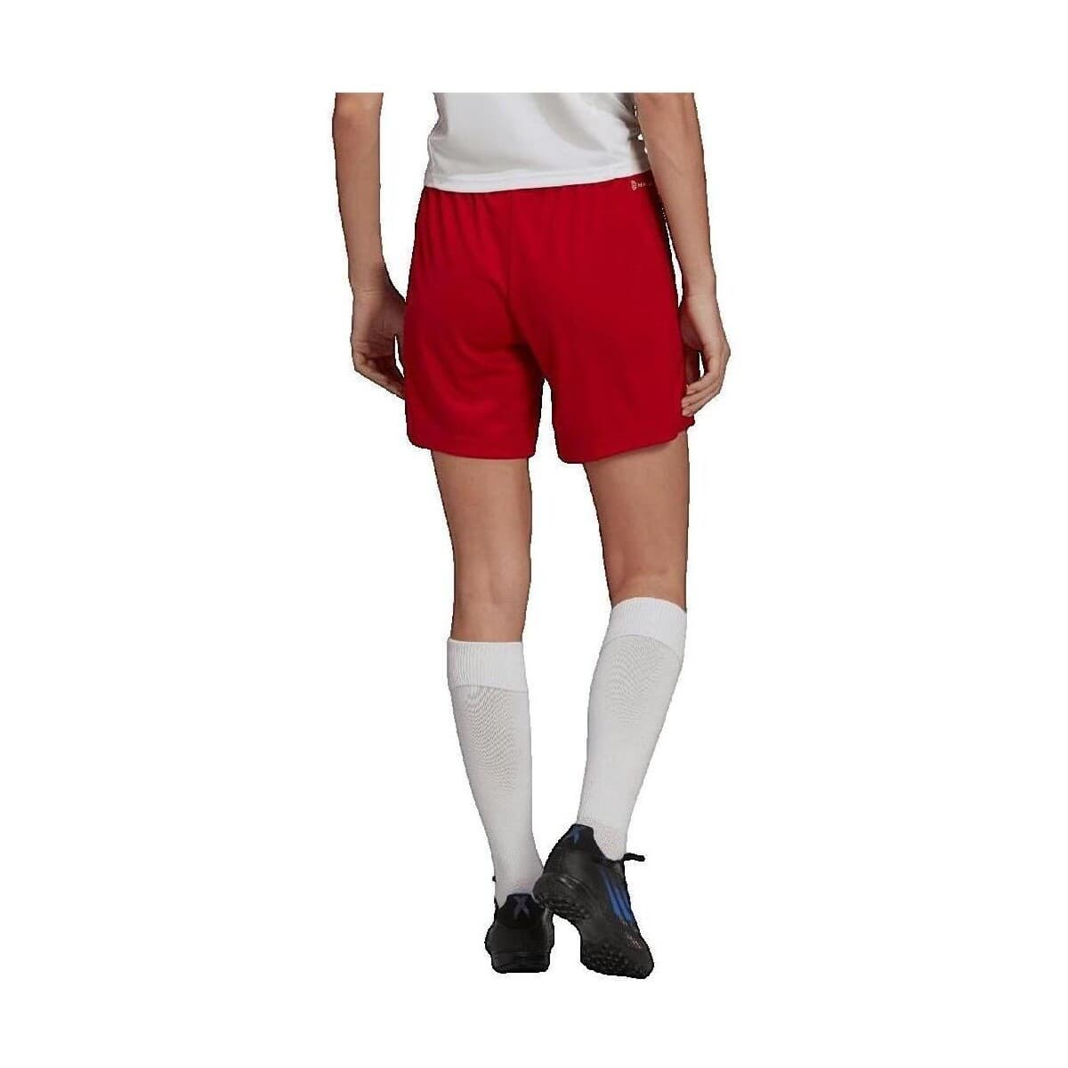 Women's Shorts adidas Red