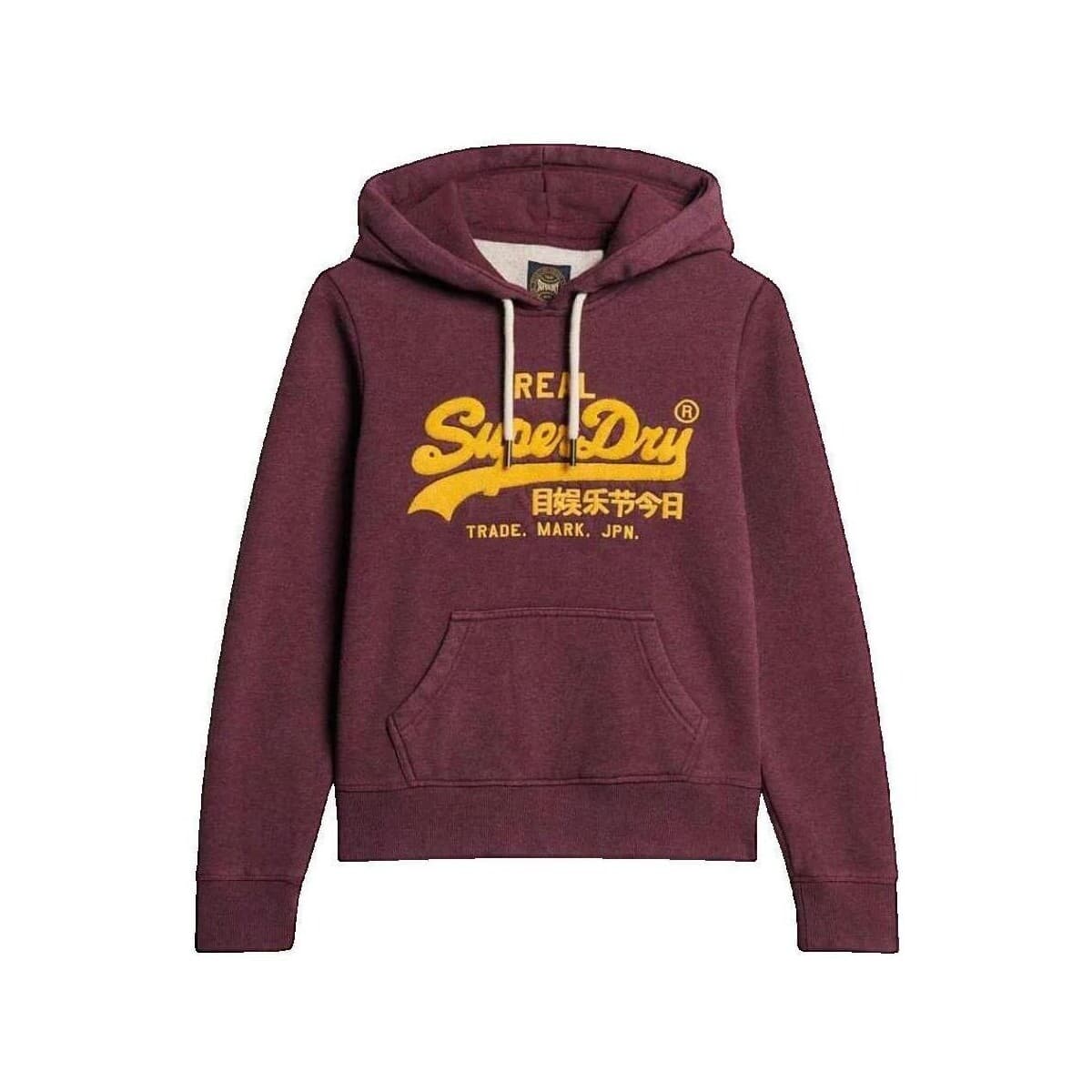 T-shirt με κουκούλα Superdry Sweat à capuche Chenille Vl Graphic