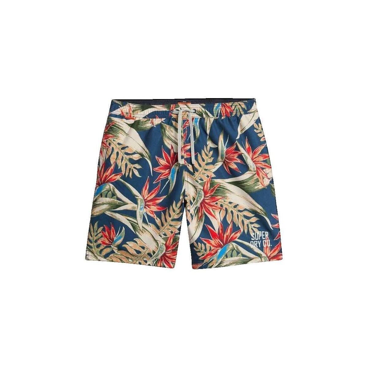 Men's Shorts Superdry Multicolor