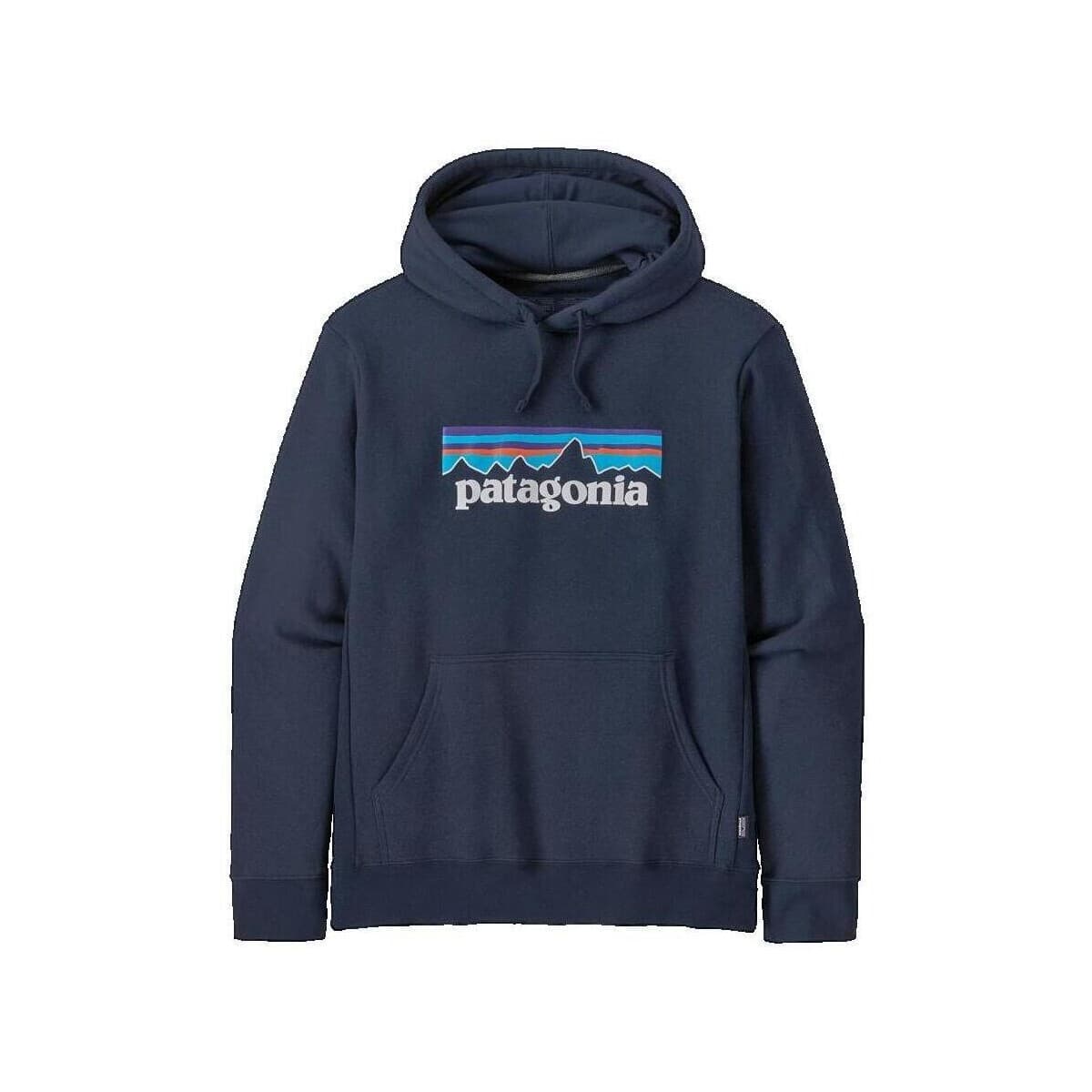 Fleece Patagonia Polaires P6 Logo Uprisal