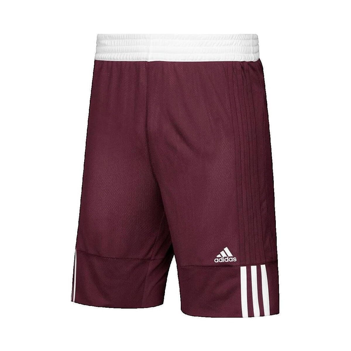 Women's Shorts adidas Multicolor