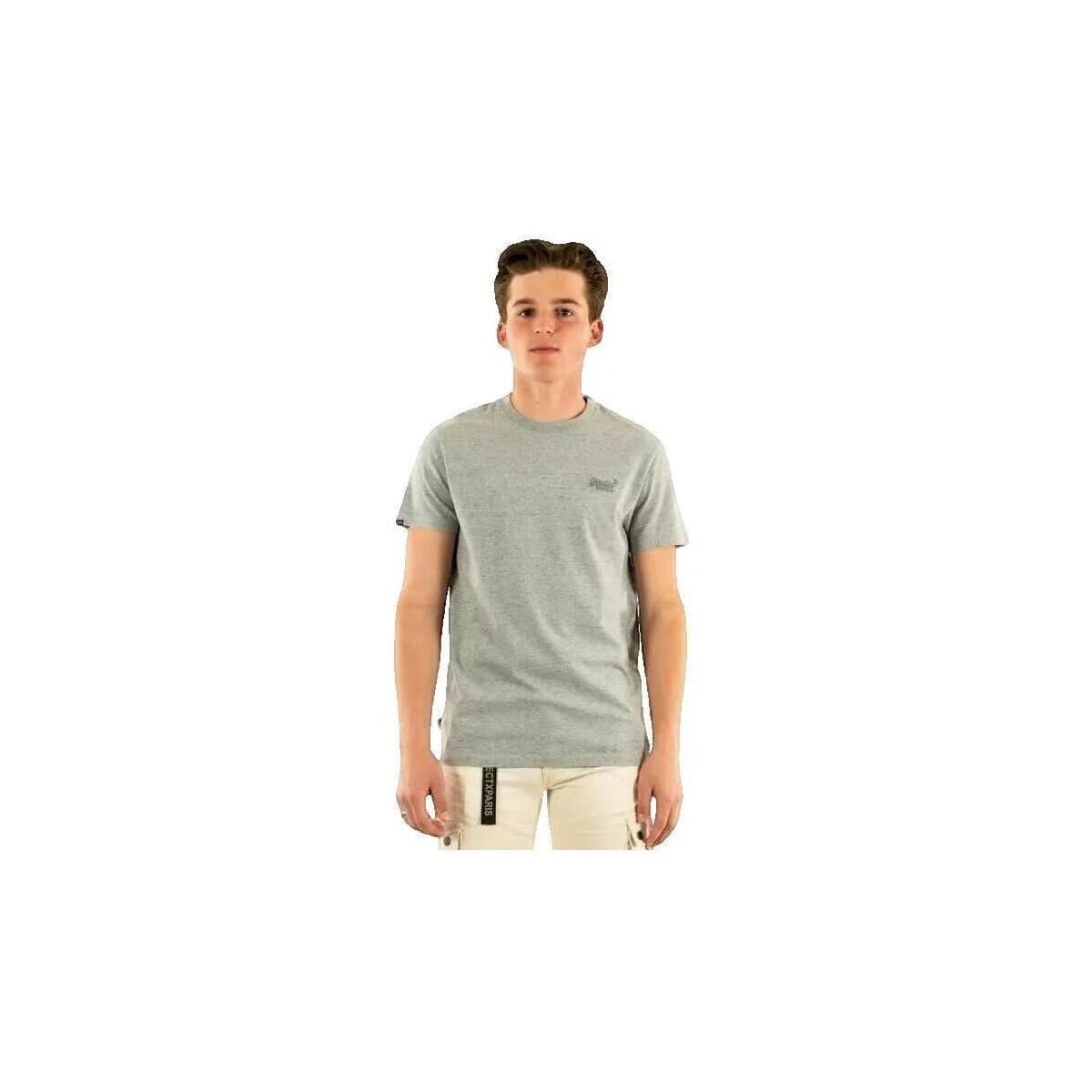 Men's T-Shirts Superdry Gray