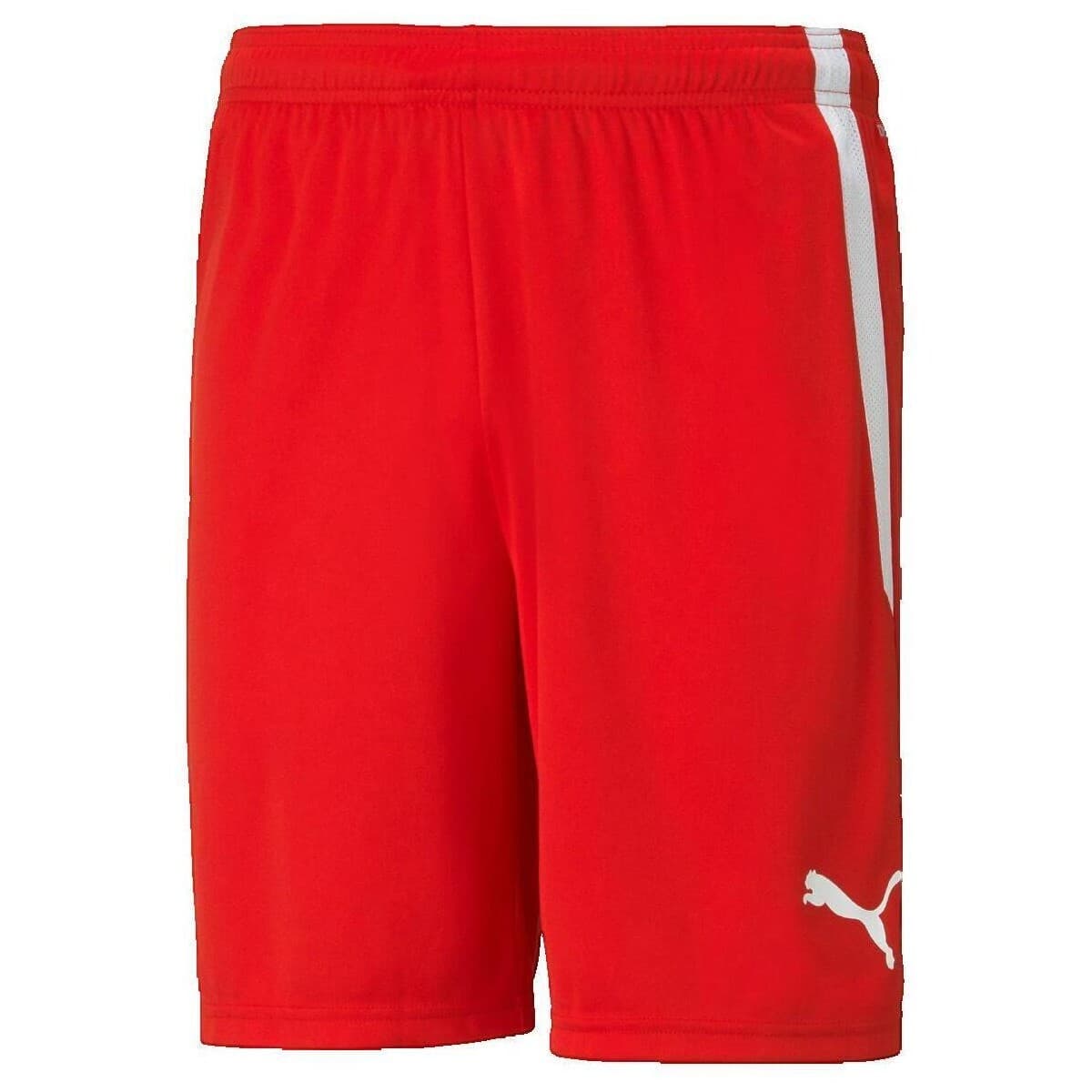 Men's Shorts Puma Black